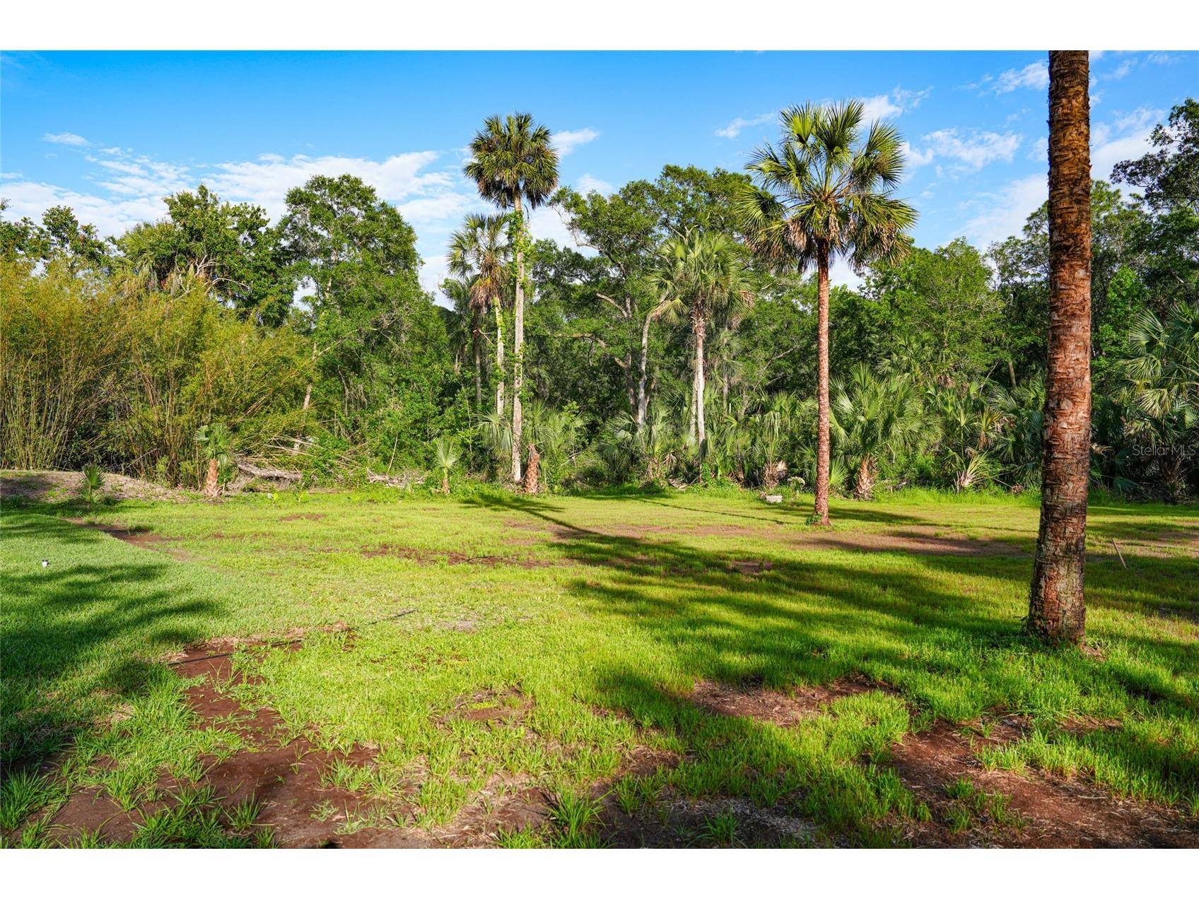 6381 Cherry Lane Bunnell FL 32110 FC318133 image54