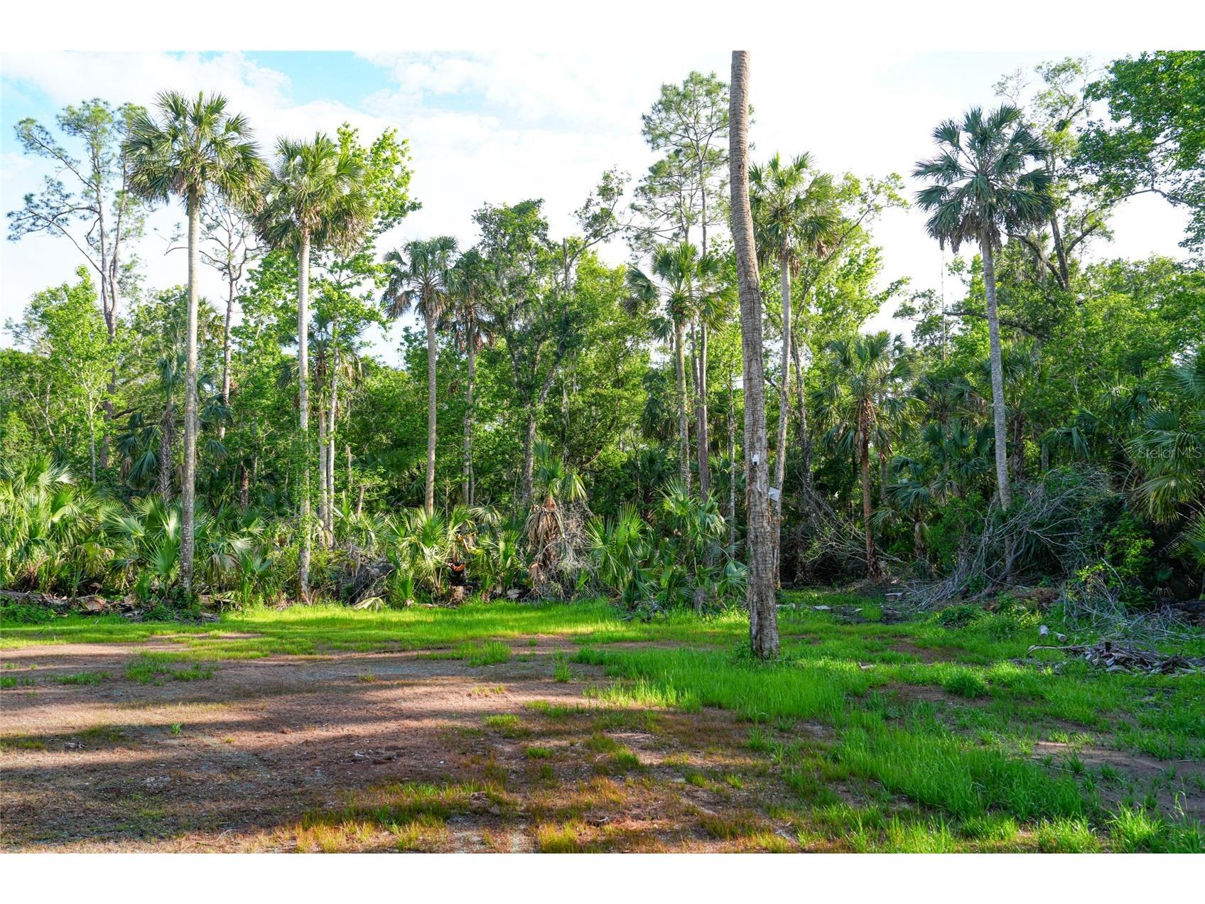 6381 Cherry Lane Bunnell FL 32110 FC318133 image55