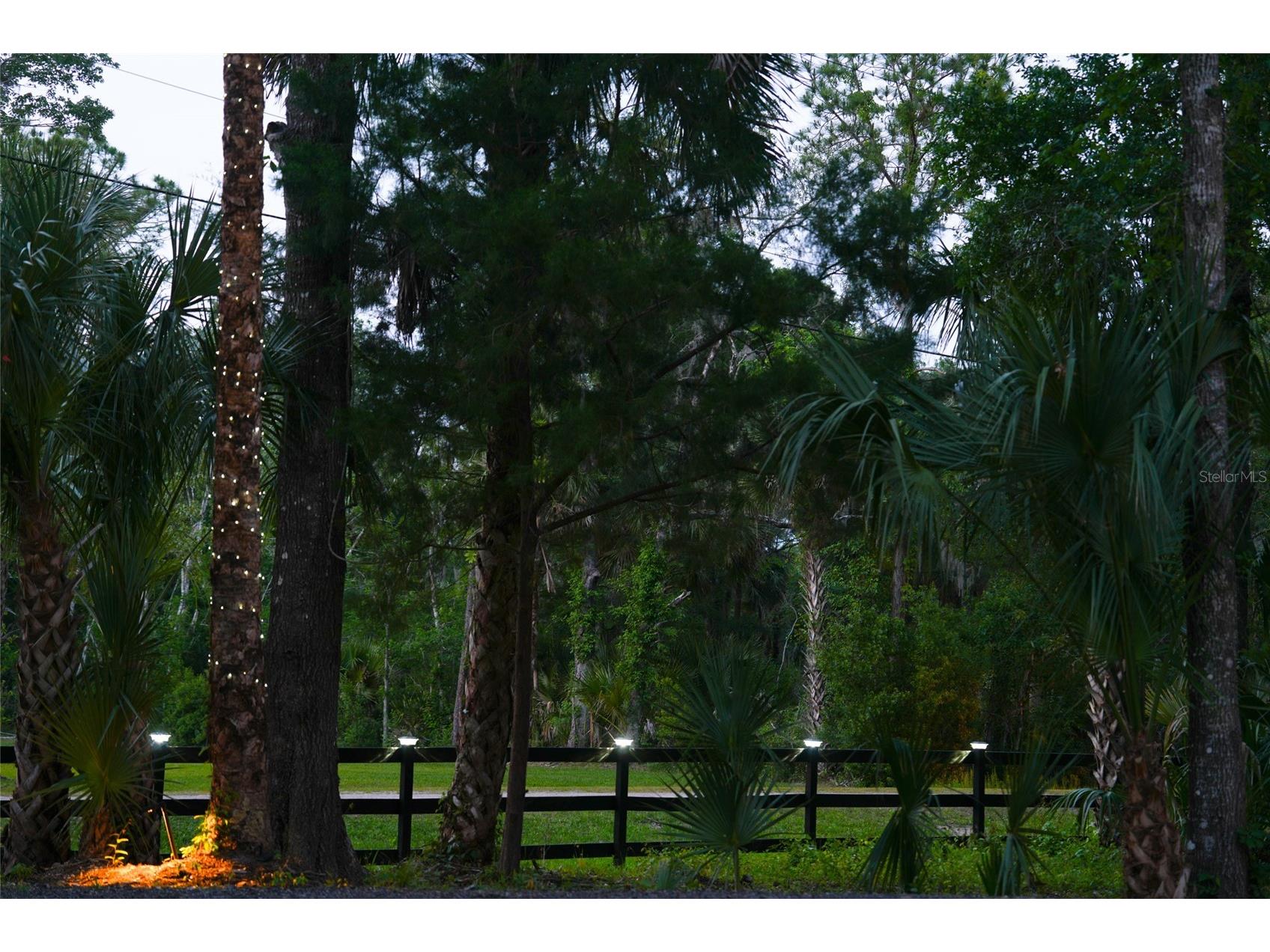 6381 Cherry Lane Bunnell FL 32110 FC318133 image66