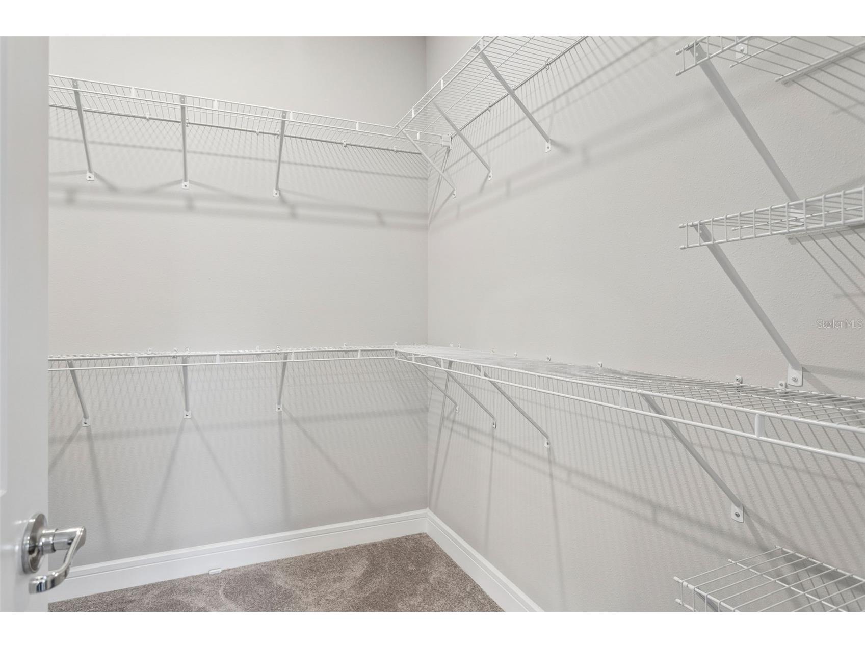 6382 Bradford Woods Drive Zephyrhills FL 33542 TB8497232 image23