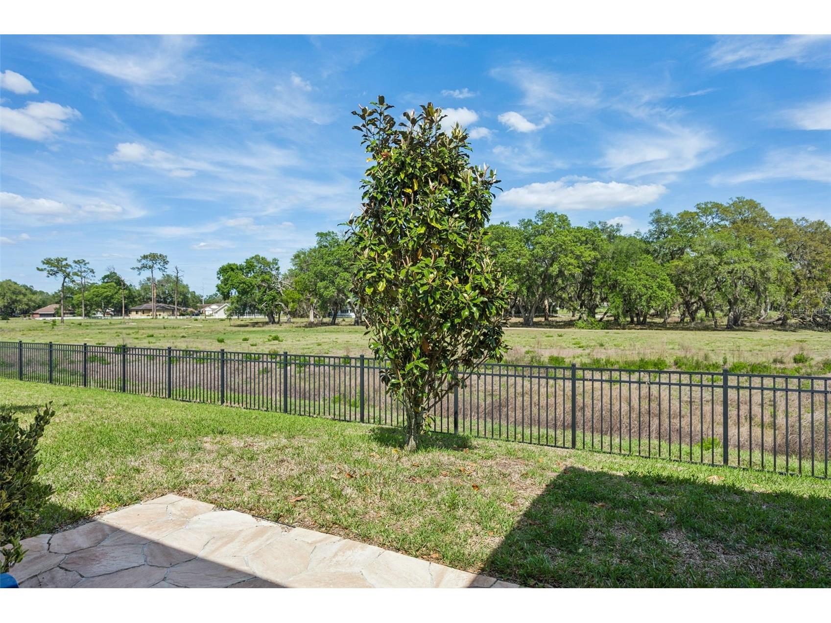 6382 Bradford Woods Drive Zephyrhills FL 33542 TB8497232 image30