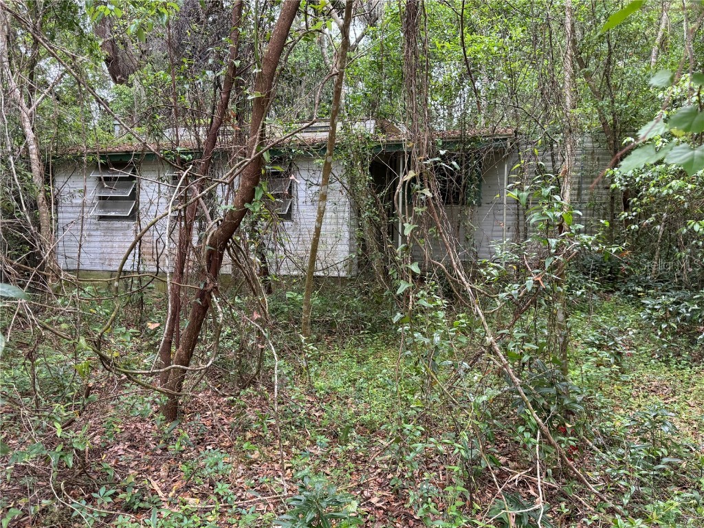 6382 SE 145th Street Summerfield FL 34491 OM650845 image1