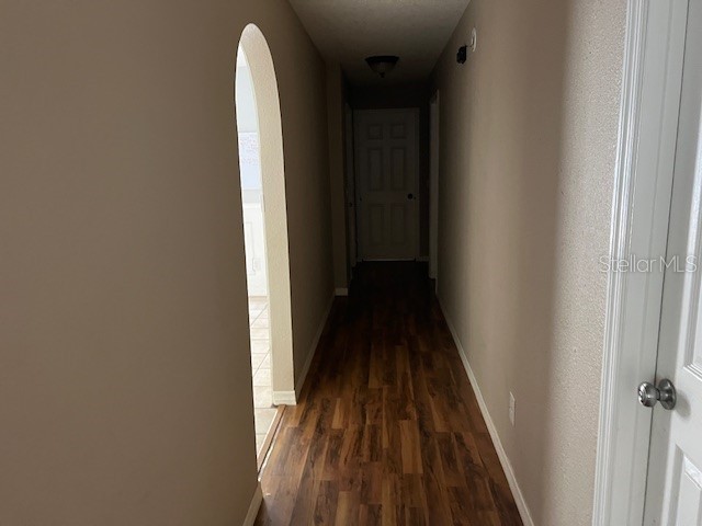 6383 N Jade Terrace Crystal River FL 34428 A4651125 image10