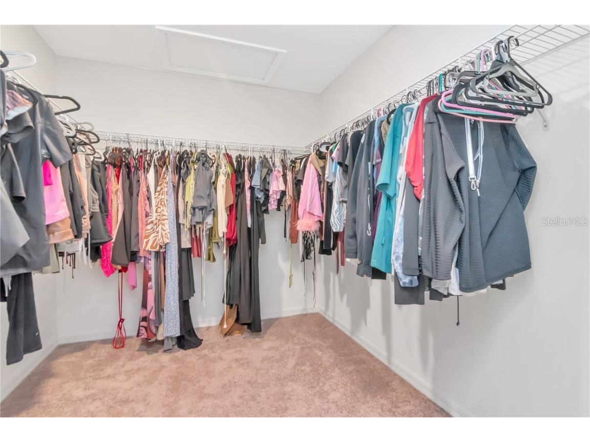 6384 Burning Opal Bend Land O Lakes FL 34638 O6356724 image26