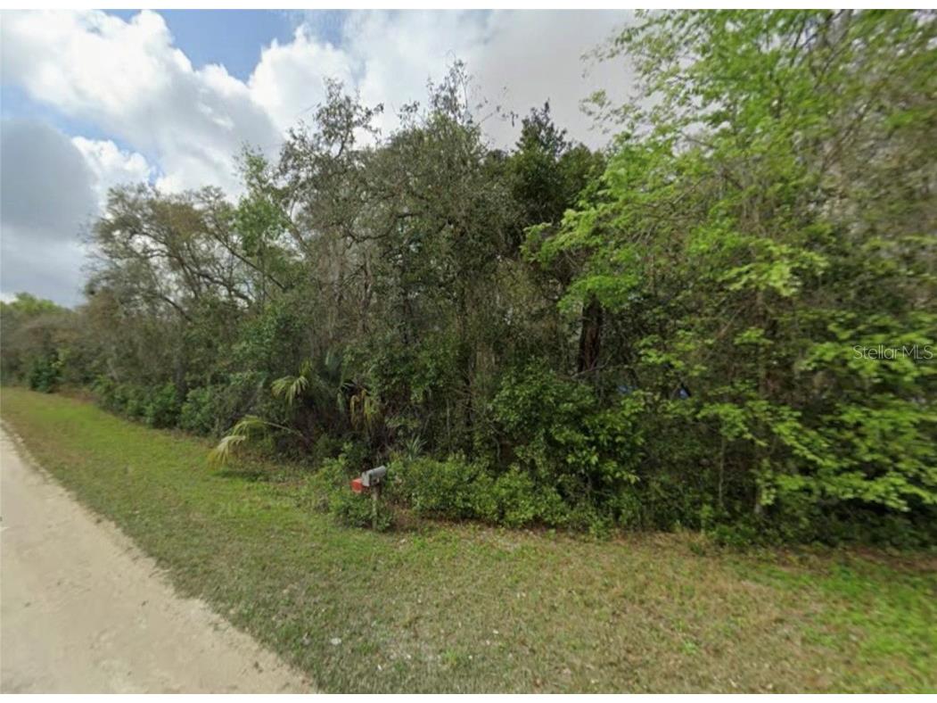 6384 N Sourgum Terrace Hernando FL 34442 OM710810 image2