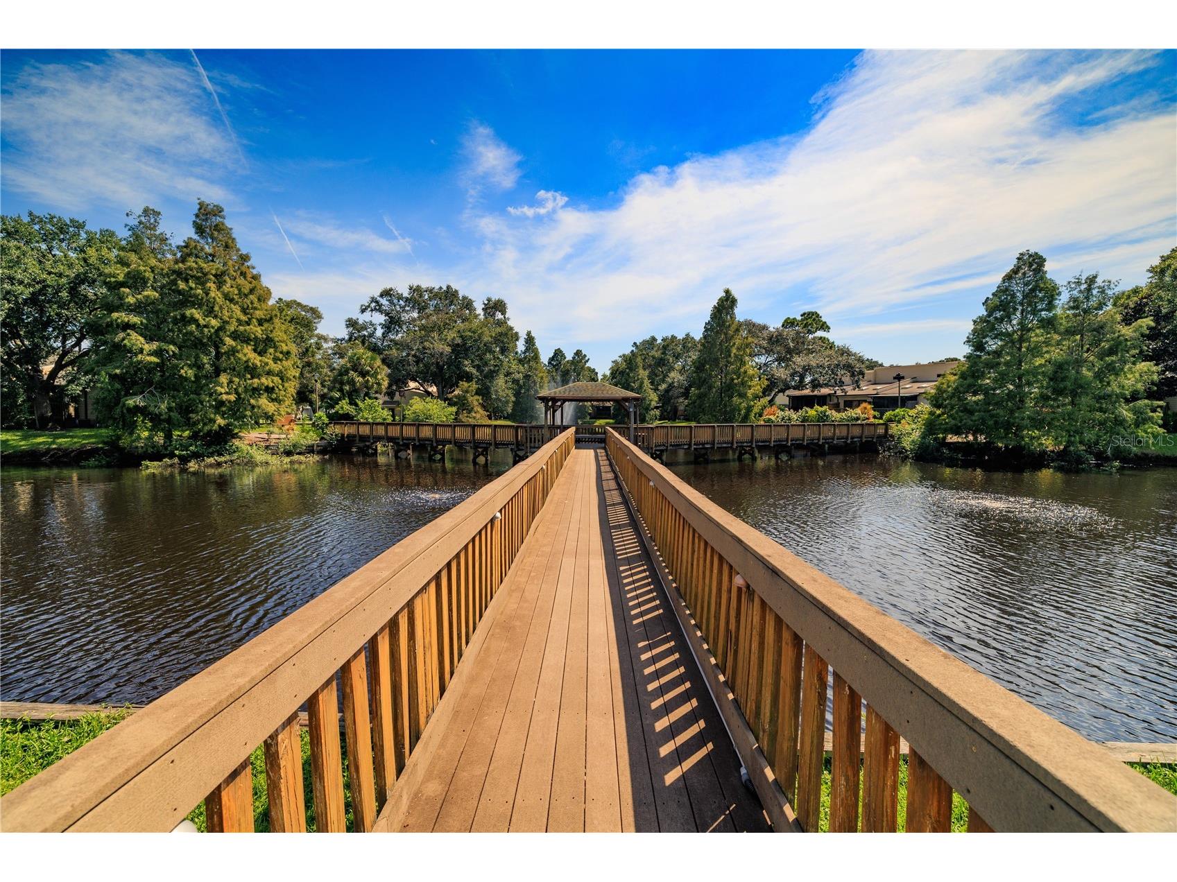 6387 92nd Place N #1504 Pinellas Park FL 33782 TB8518598 image43