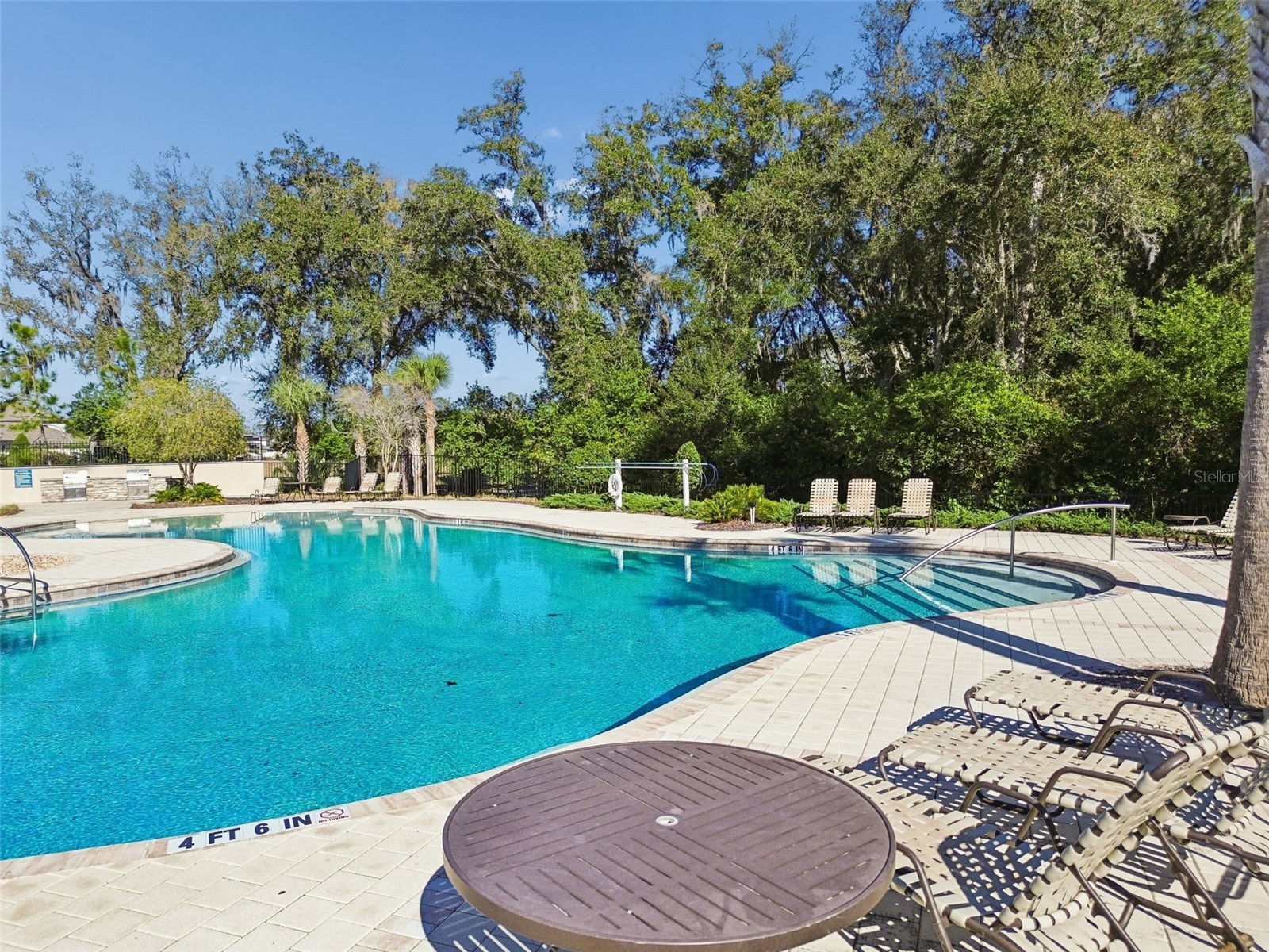 6388 Spider Lily Way New Port Richey FL 34653 TB8515965 image82