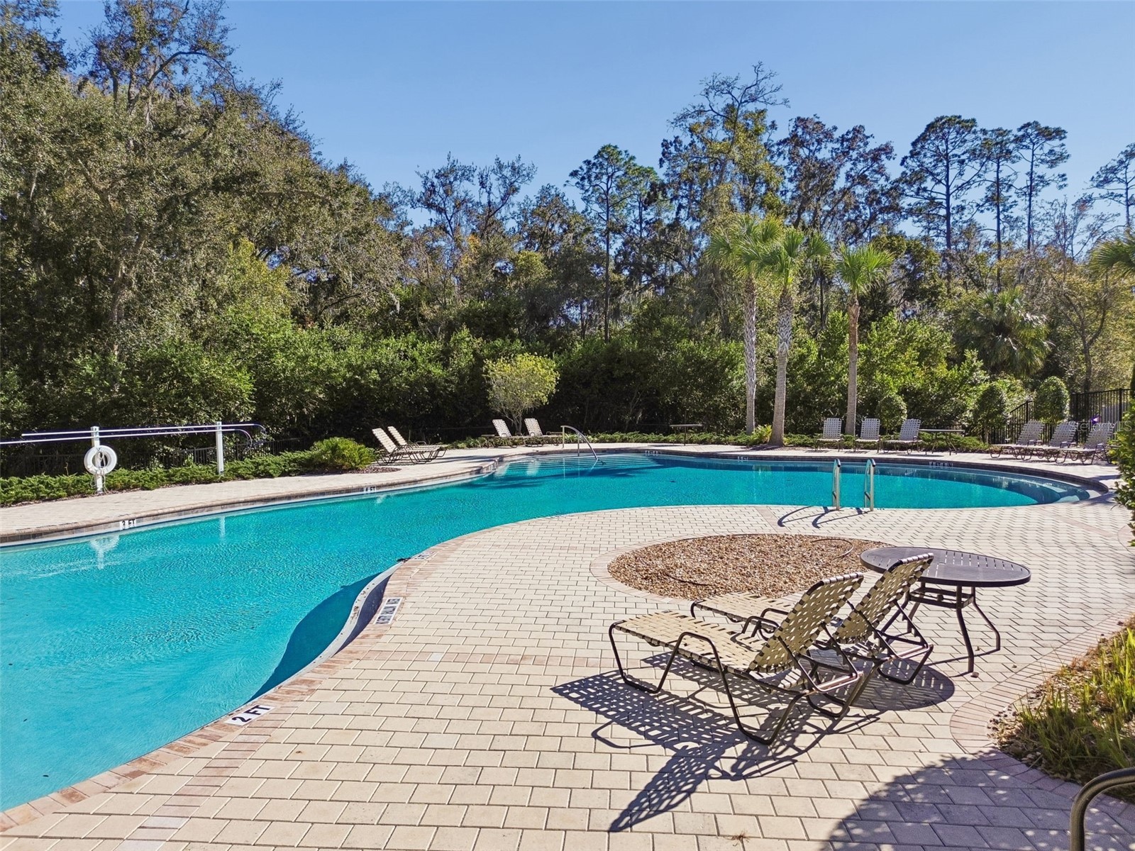 6388 Spider Lily Way New Port Richey FL 34653 TB8515965 image83