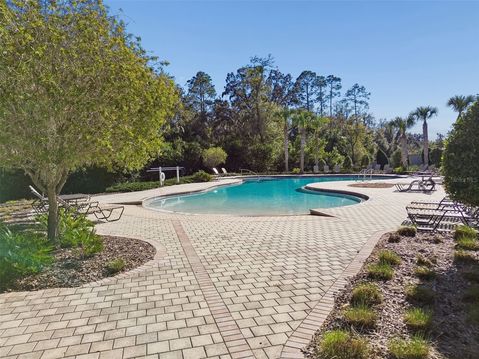 6388 Spider Lily Way New Port Richey FL 34653 TB8515965 image85