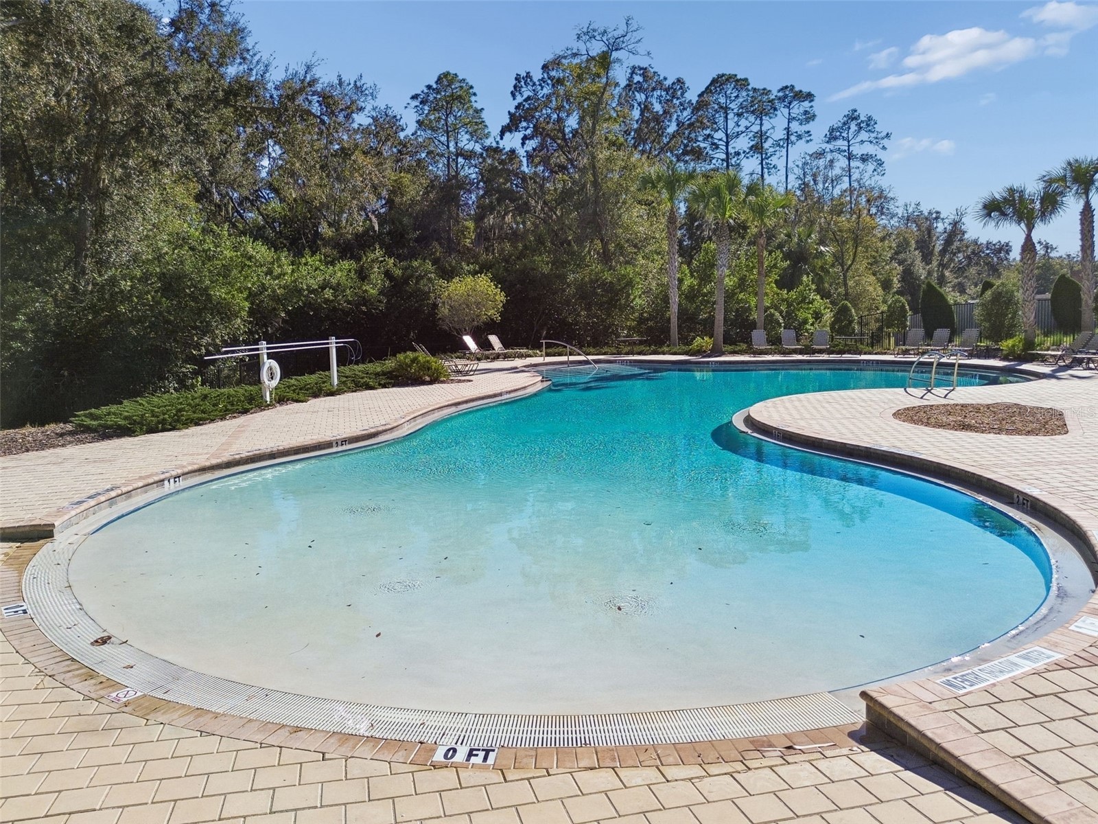 6388 Spider Lily Way New Port Richey FL 34653 TB8515965 image86