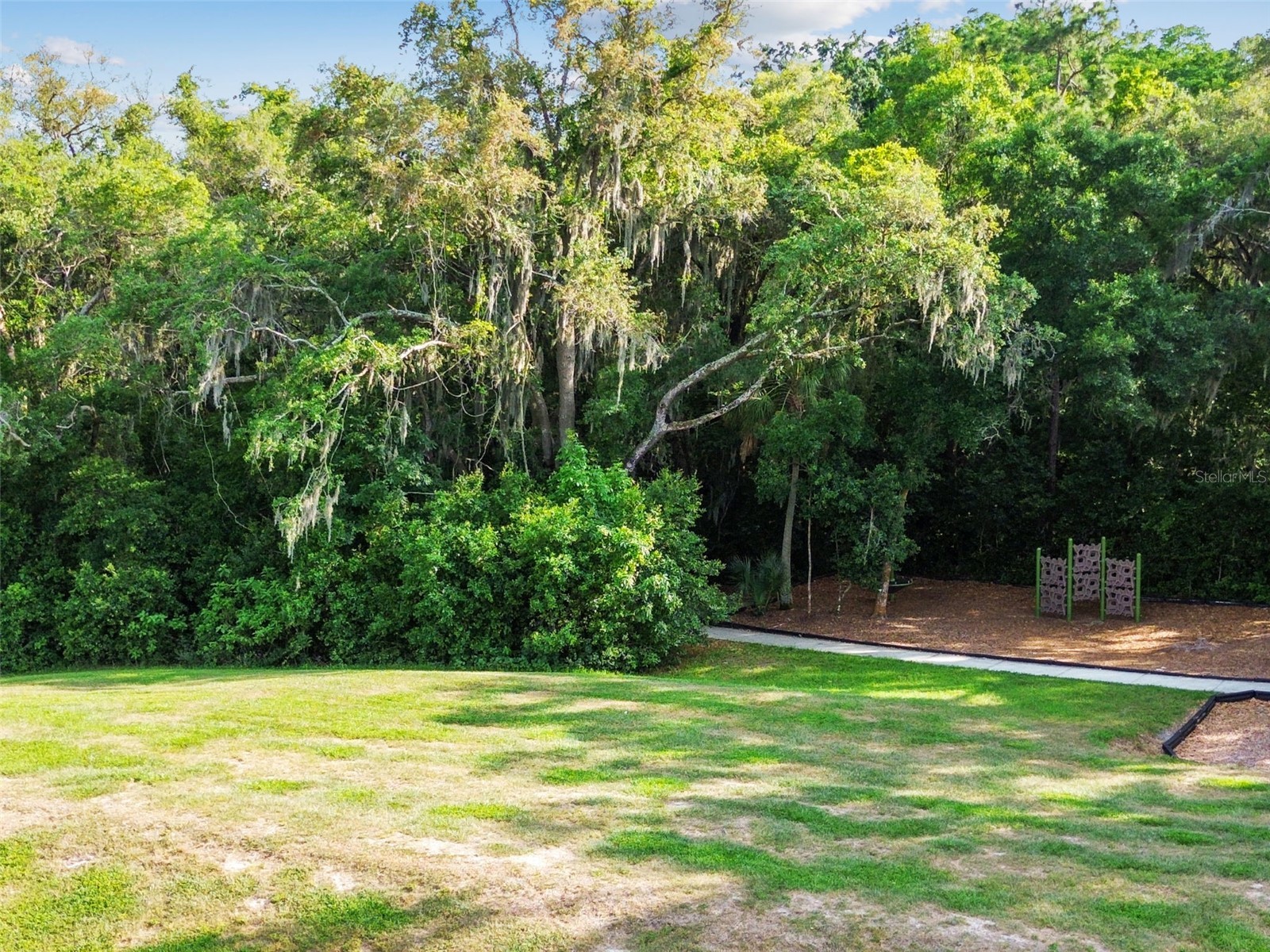 6388 Spider Lily Way New Port Richey FL 34653 TB8515965 image98