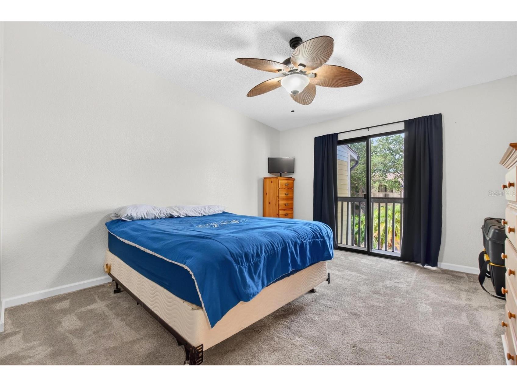 6389 93rd Terrace N #4706 Pinellas Park FL 33782 TB8509273 image15