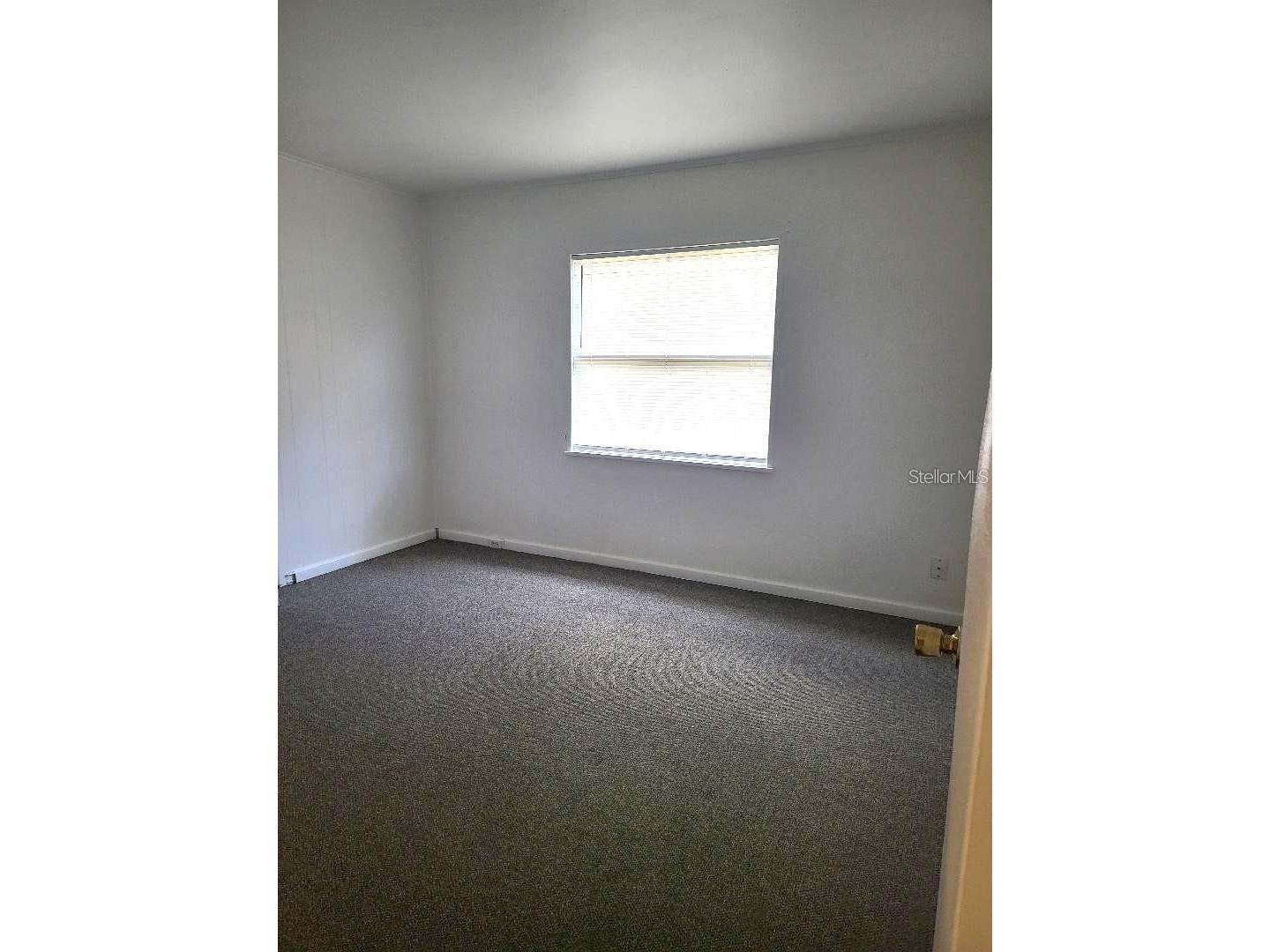 639 2nd Street Polk City FL 33868 P4938565 image11