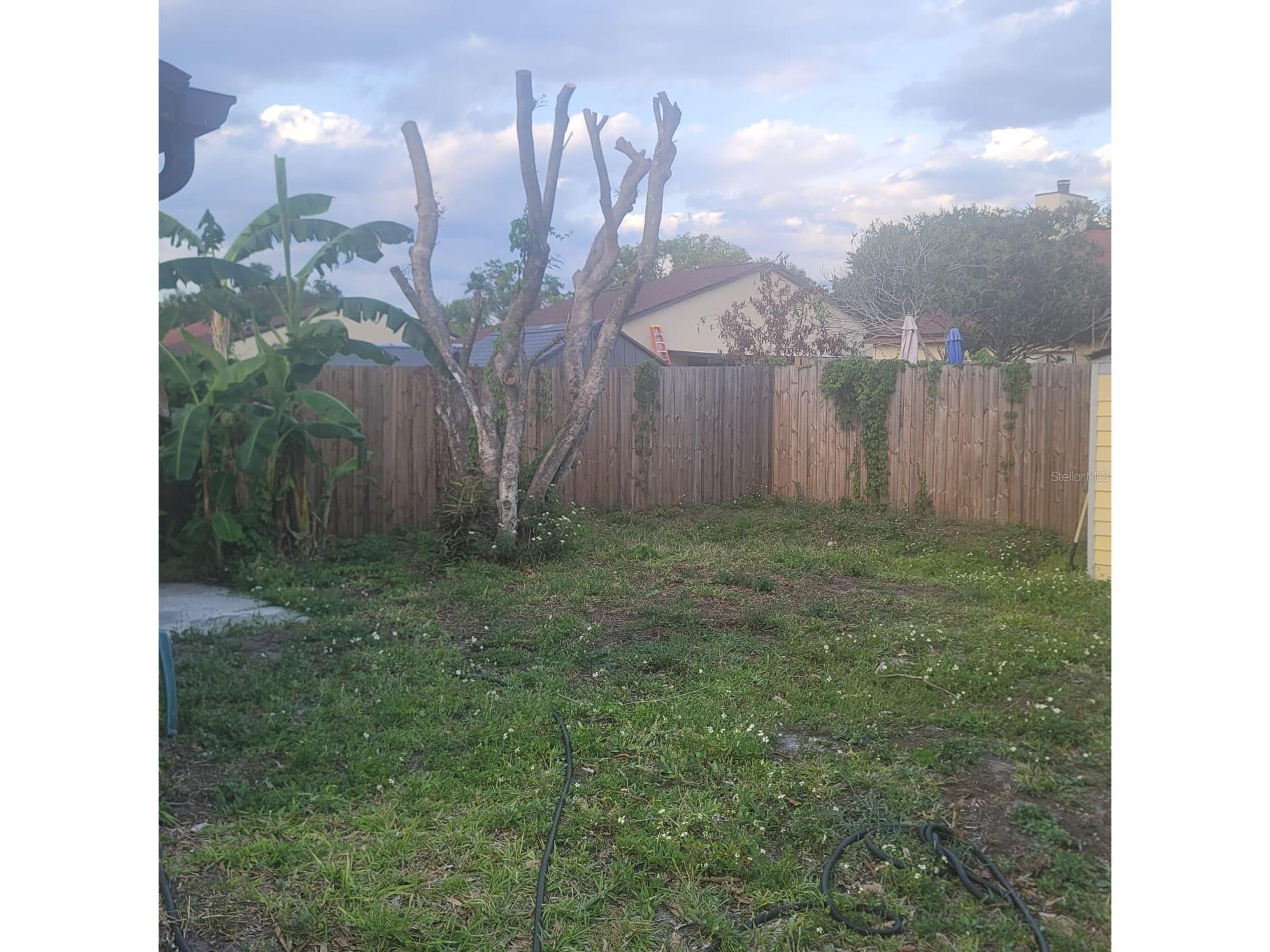 639 Golden Sunshine Circle Orlando FL 32807 S5149177 image26