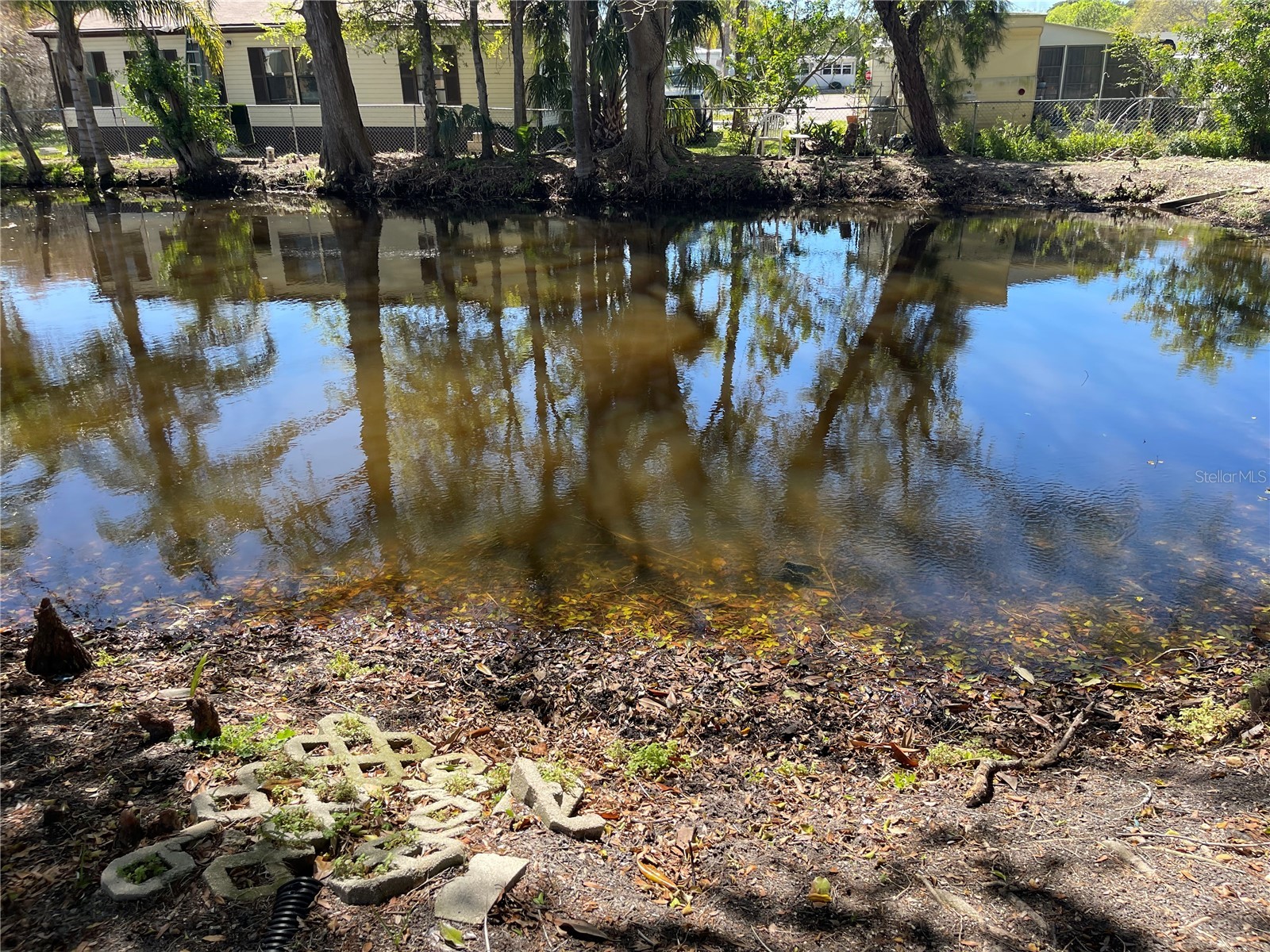 639 Michigan Boulevard #1800 Dunedin FL 34698 TB8500399 image17
