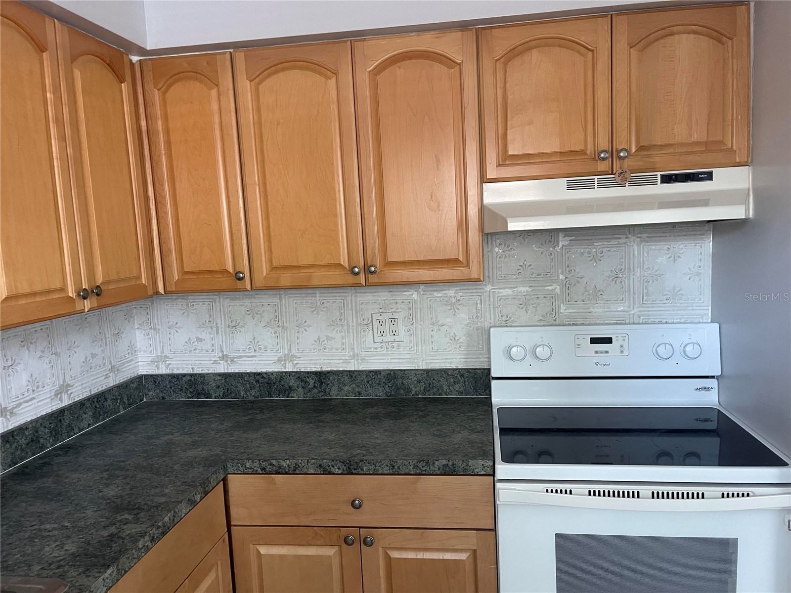 639 Michigan Boulevard #1800 Dunedin FL 34698 TB8500399 image6