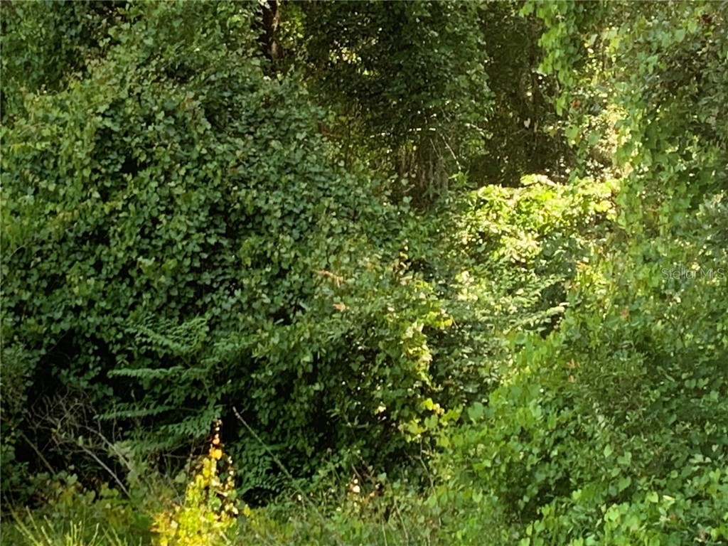 6390 N Lakeside Drive Hernando FL 34442 G5081912 image1