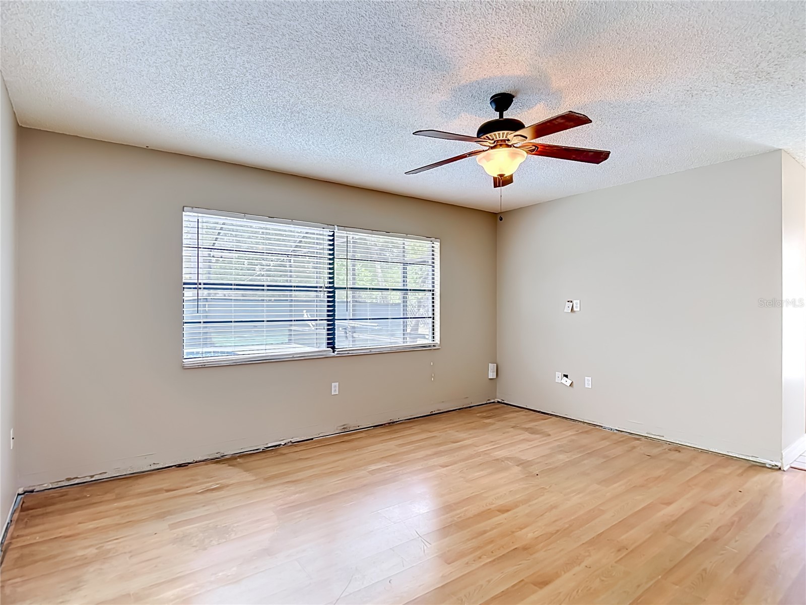 6391 Curtiss Lane Spring Hill FL 34608 TB8514979 image20