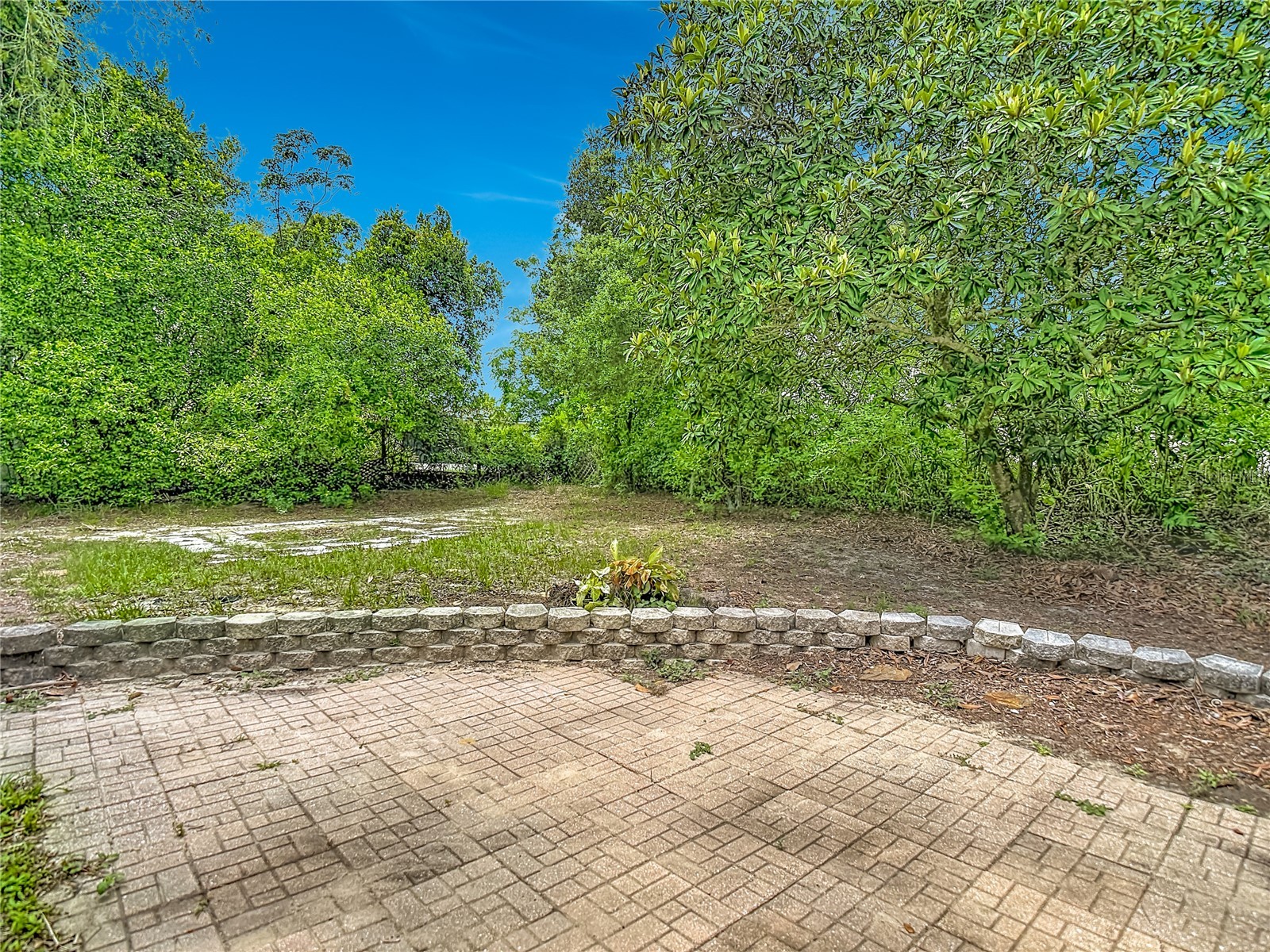 6391 Curtiss Lane Spring Hill FL 34608 TB8514979 image46