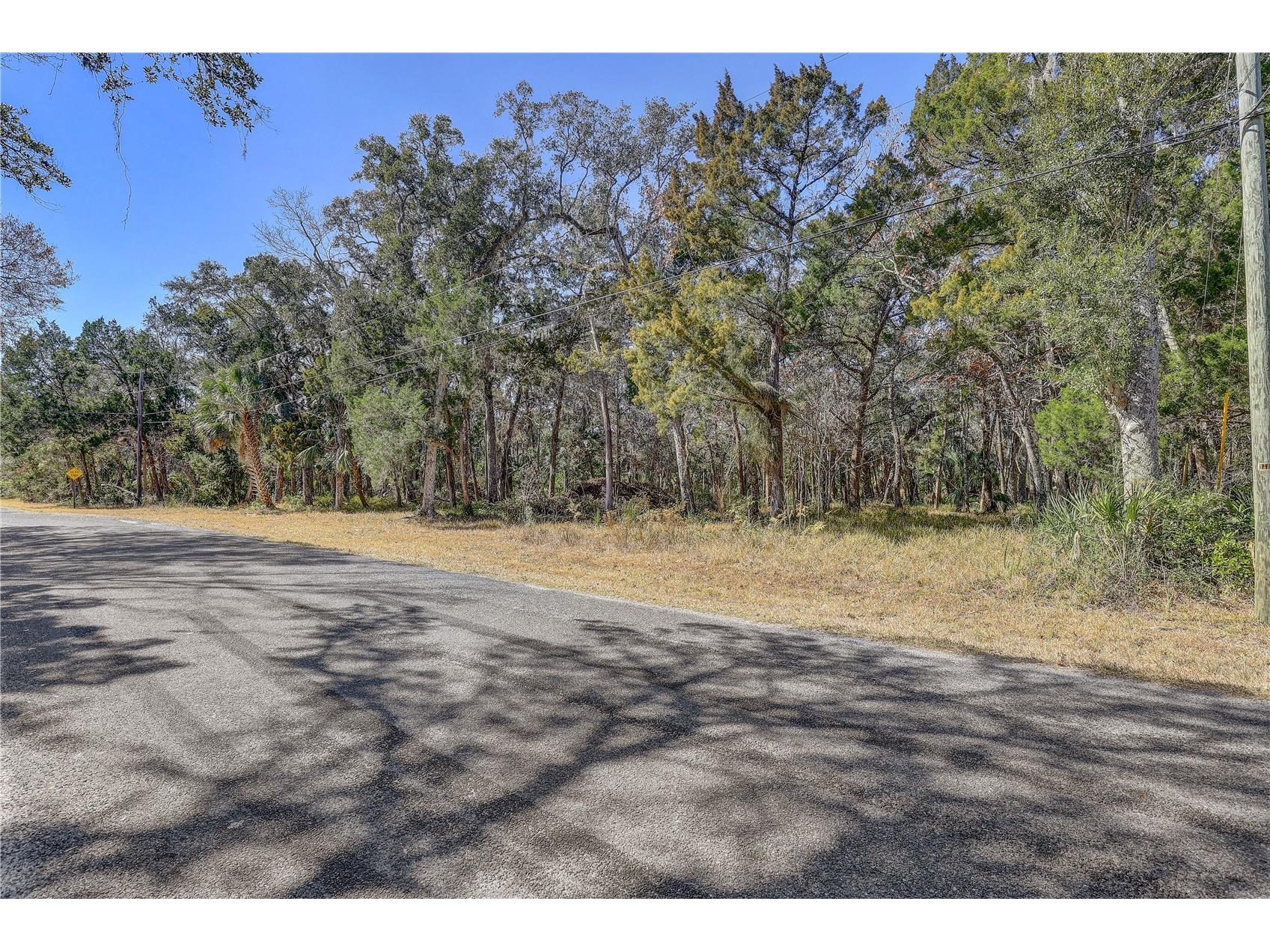 6392 S Westview Drive Homosassa FL 34448 TB8476274 image1