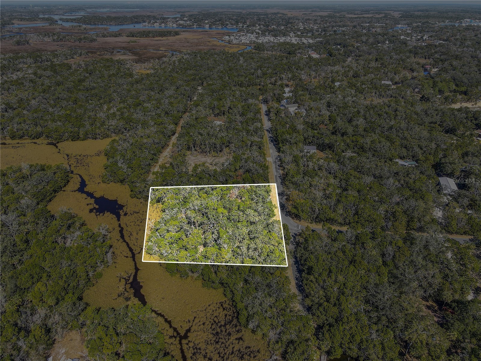 6392 S Westview Drive Homosassa FL 34448 TB8476274 image13