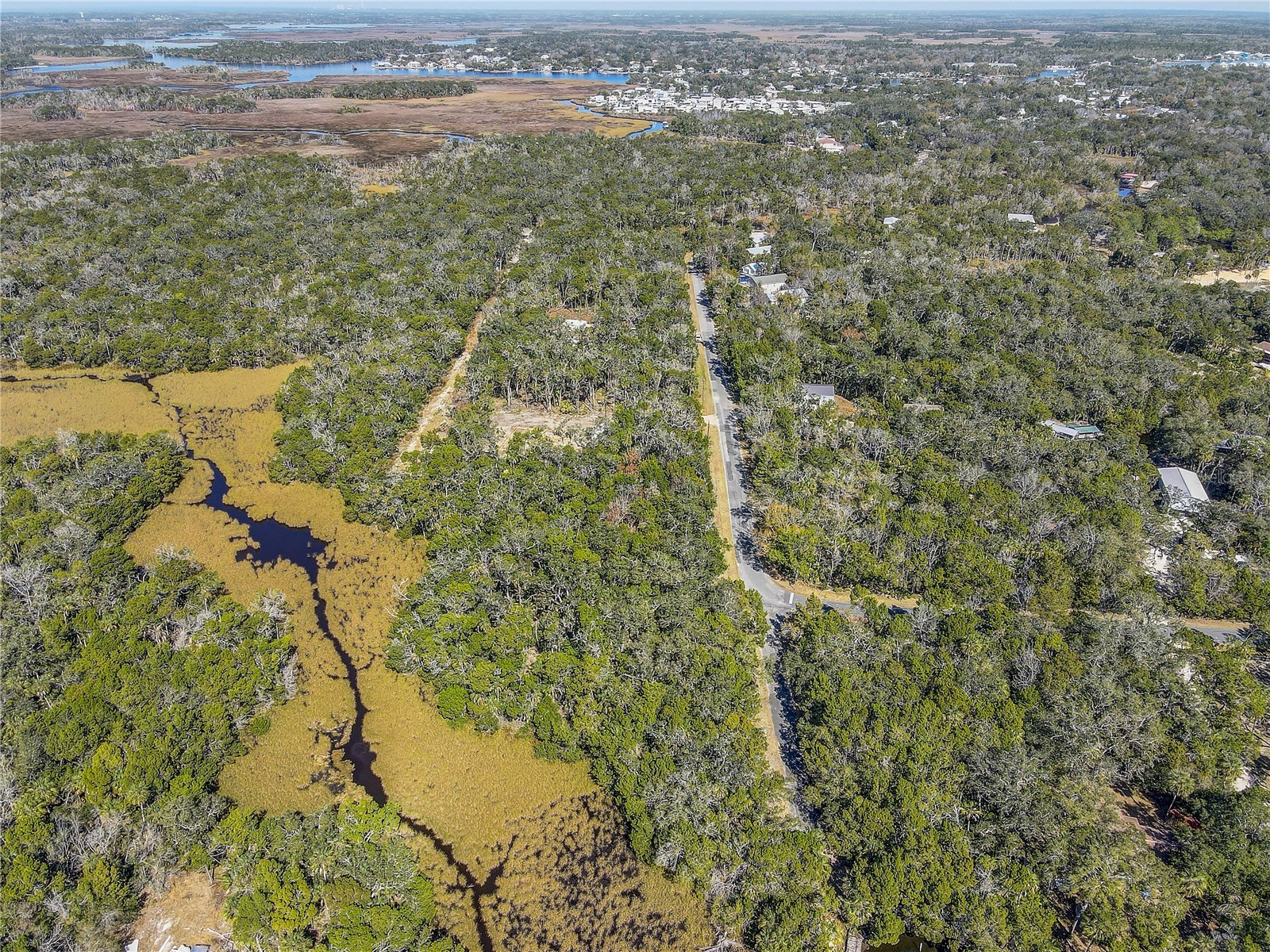 6392 S Westview Drive Homosassa FL 34448 TB8476274 image14