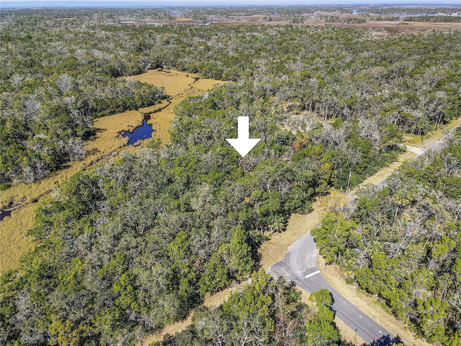 6392 S Westview Drive Homosassa FL 34448 TB8476274 image17