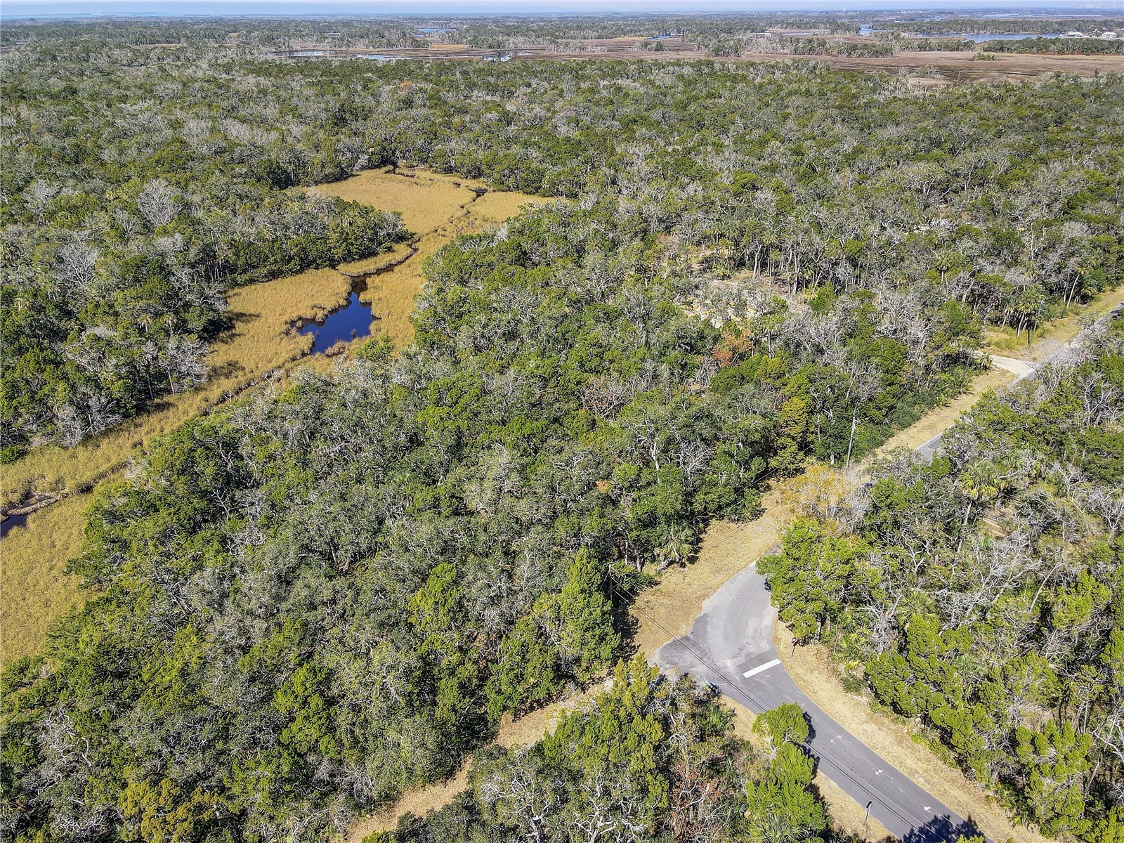 6392 S Westview Drive Homosassa FL 34448 TB8476274 image18