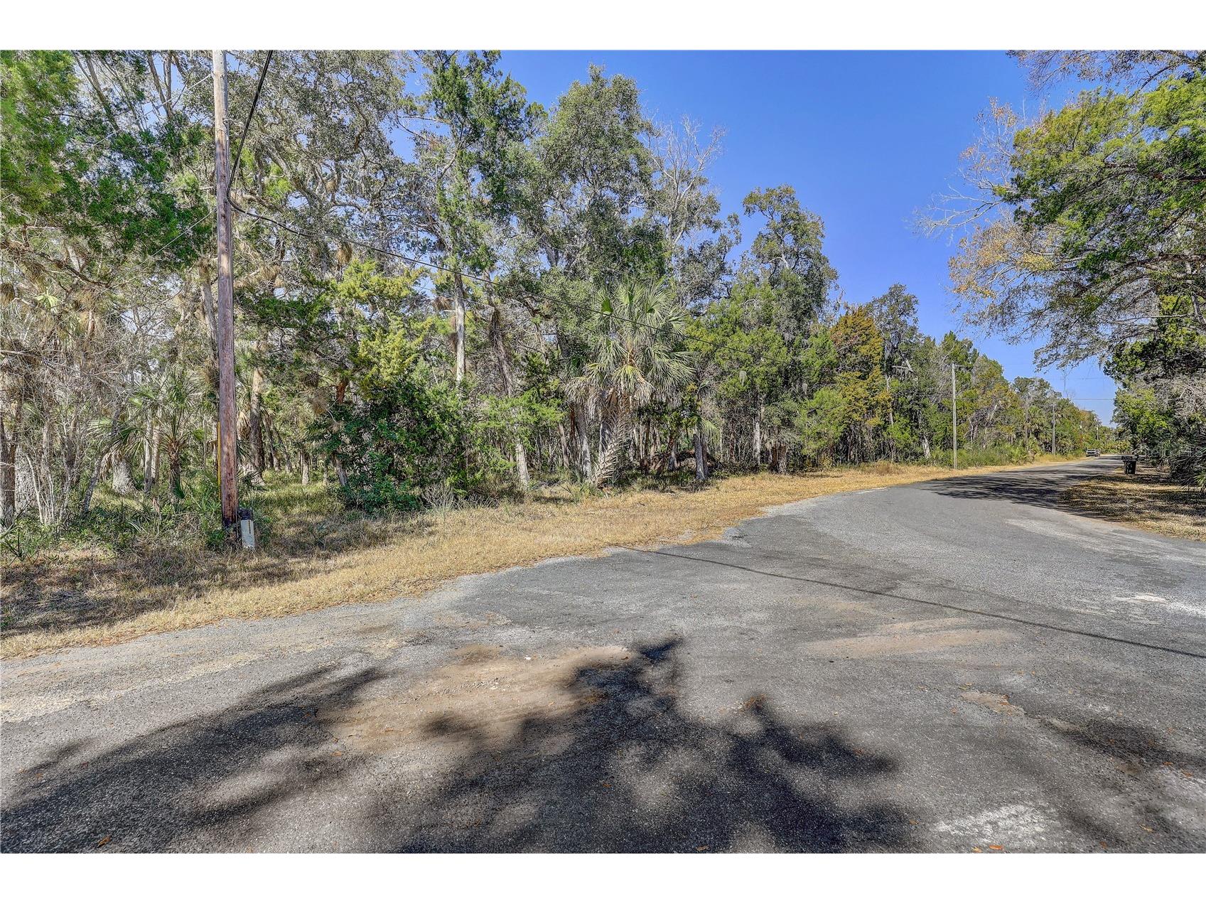6392 S Westview Drive Homosassa FL 34448 TB8476274 image2