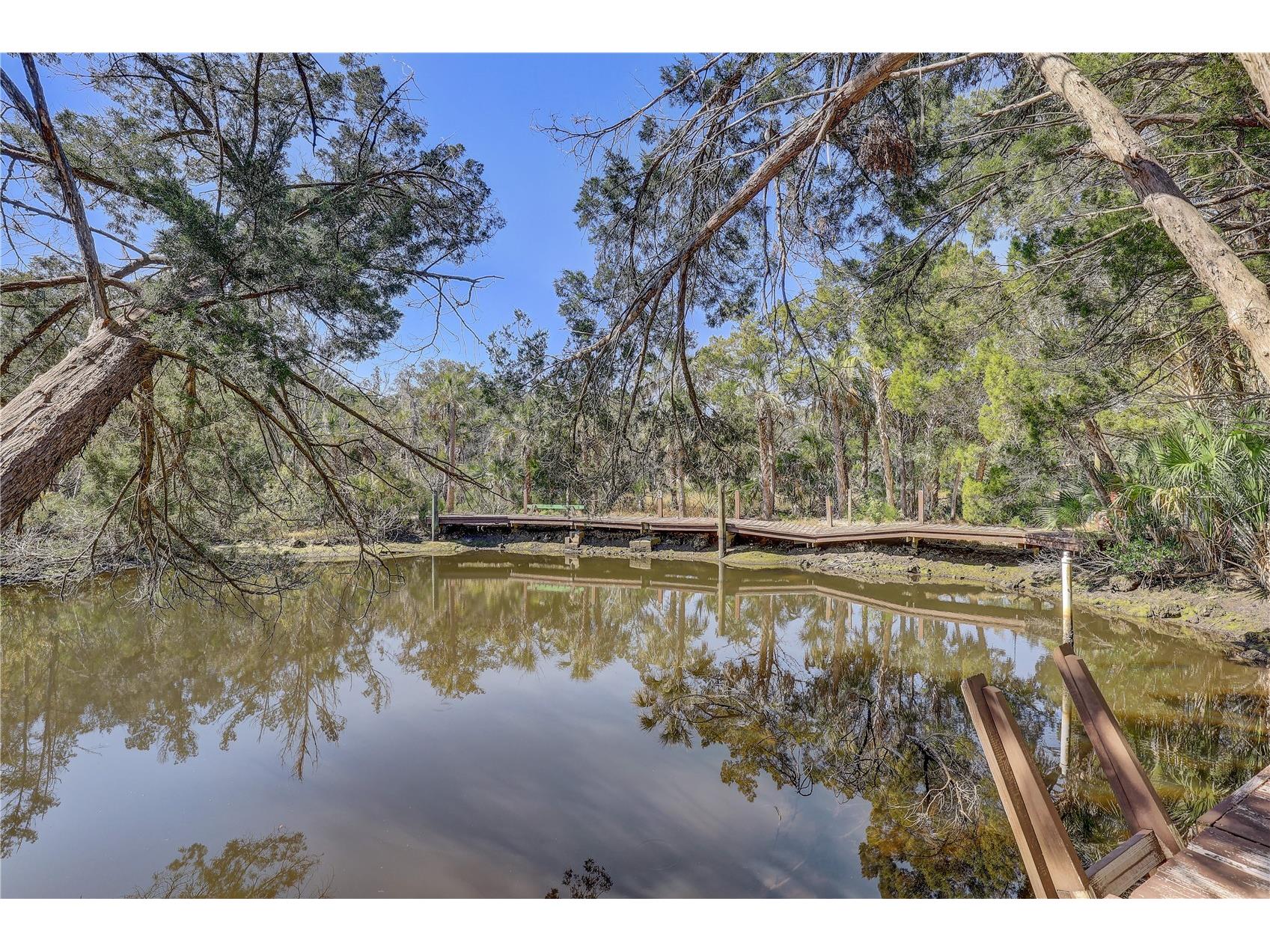 6392 S Westview Drive Homosassa FL 34448 TB8476274 image3