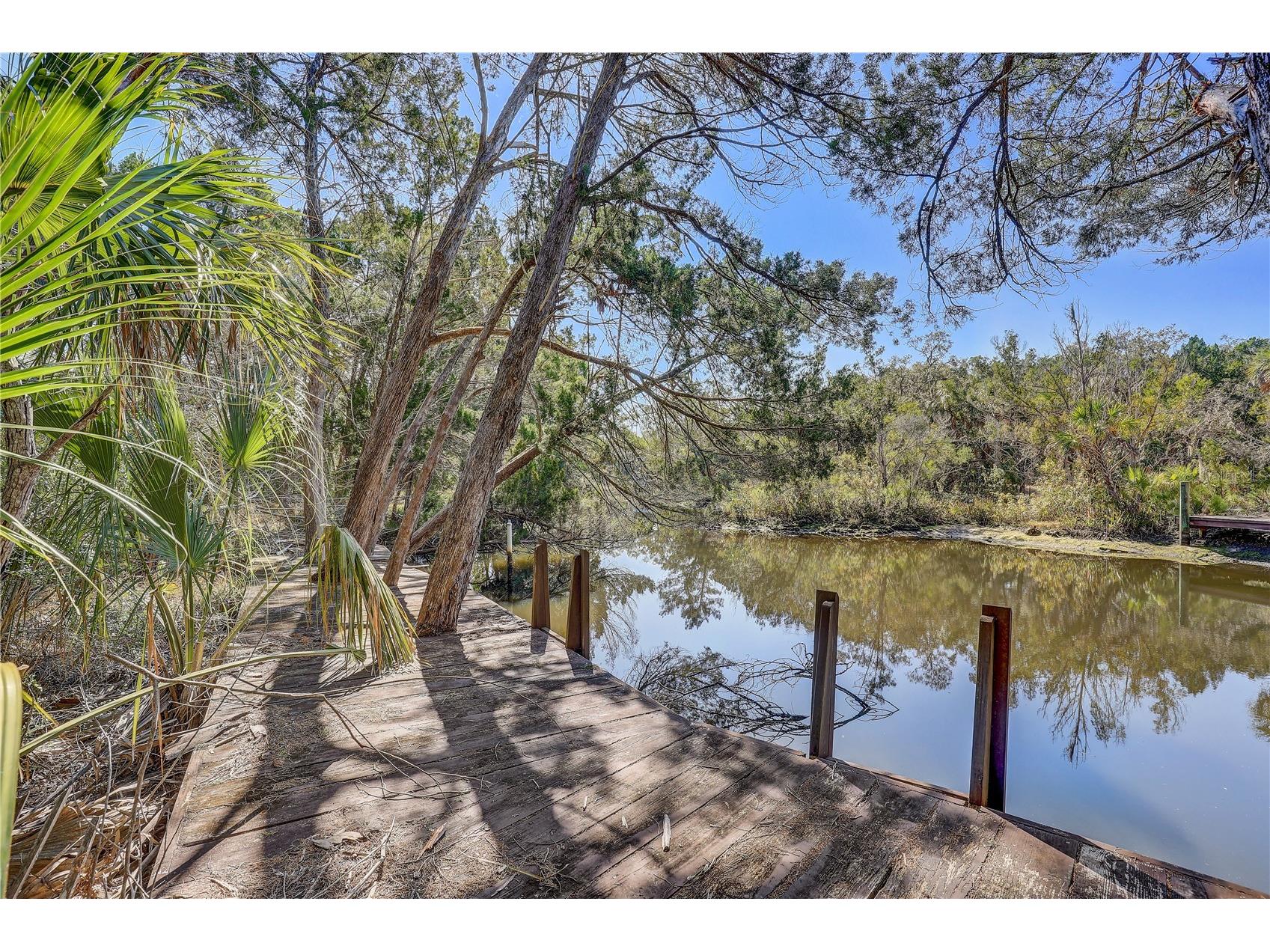 6392 S Westview Drive Homosassa FL 34448 TB8476274 image4