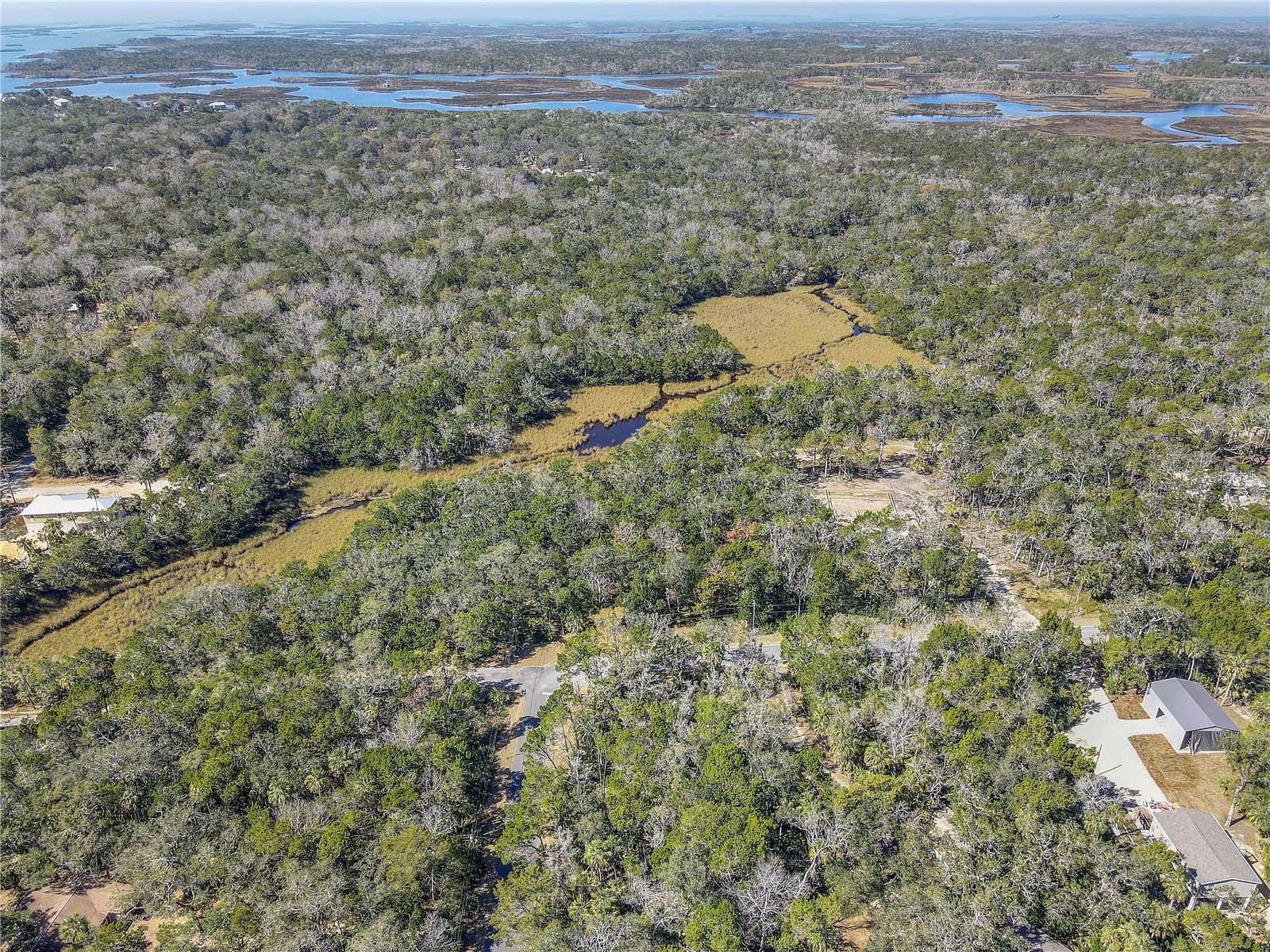 6392 S Westview Drive Homosassa FL 34448 TB8476274 image8