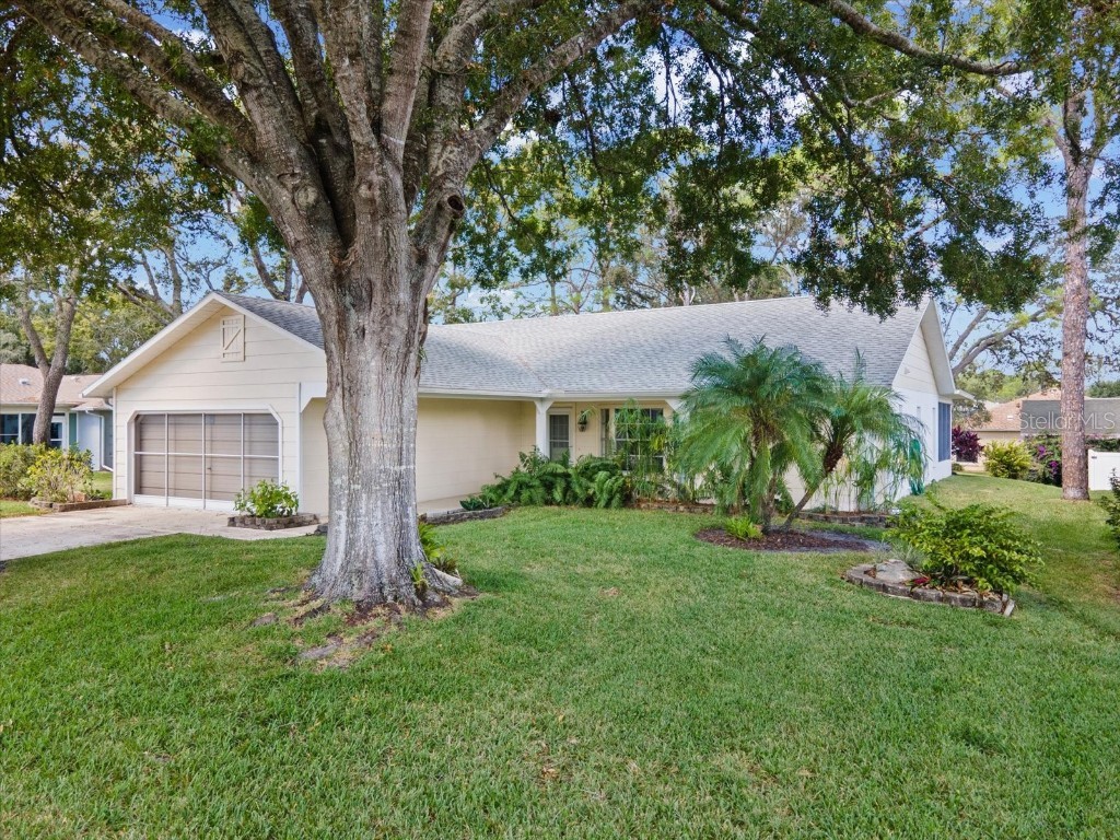 6393 Lost Tree Lane Spring Hill FL 34606 W7880099 image1