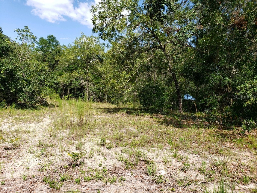 6394 Biltmore Avenue Webster FL 33597 T3390066 image1