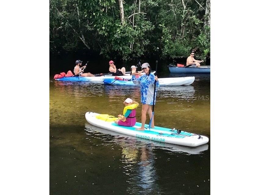 6394 Richard Drive Weeki Wachee FL 34607 - WEEKI WACHEE RIVER TB8474186 image12