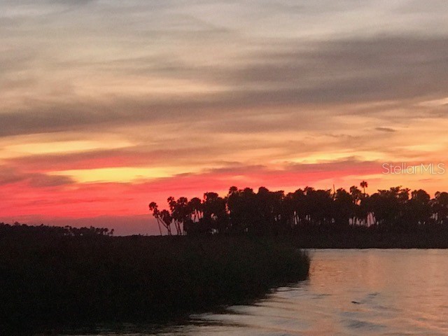 6394 Richard Drive Weeki Wachee FL 34607 - WEEKI WACHEE RIVER TB8474186 image13