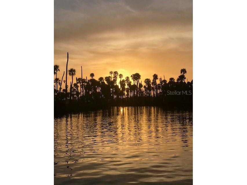 6394 Richard Drive Weeki Wachee FL 34607 - WEEKI WACHEE RIVER TB8474186 image19