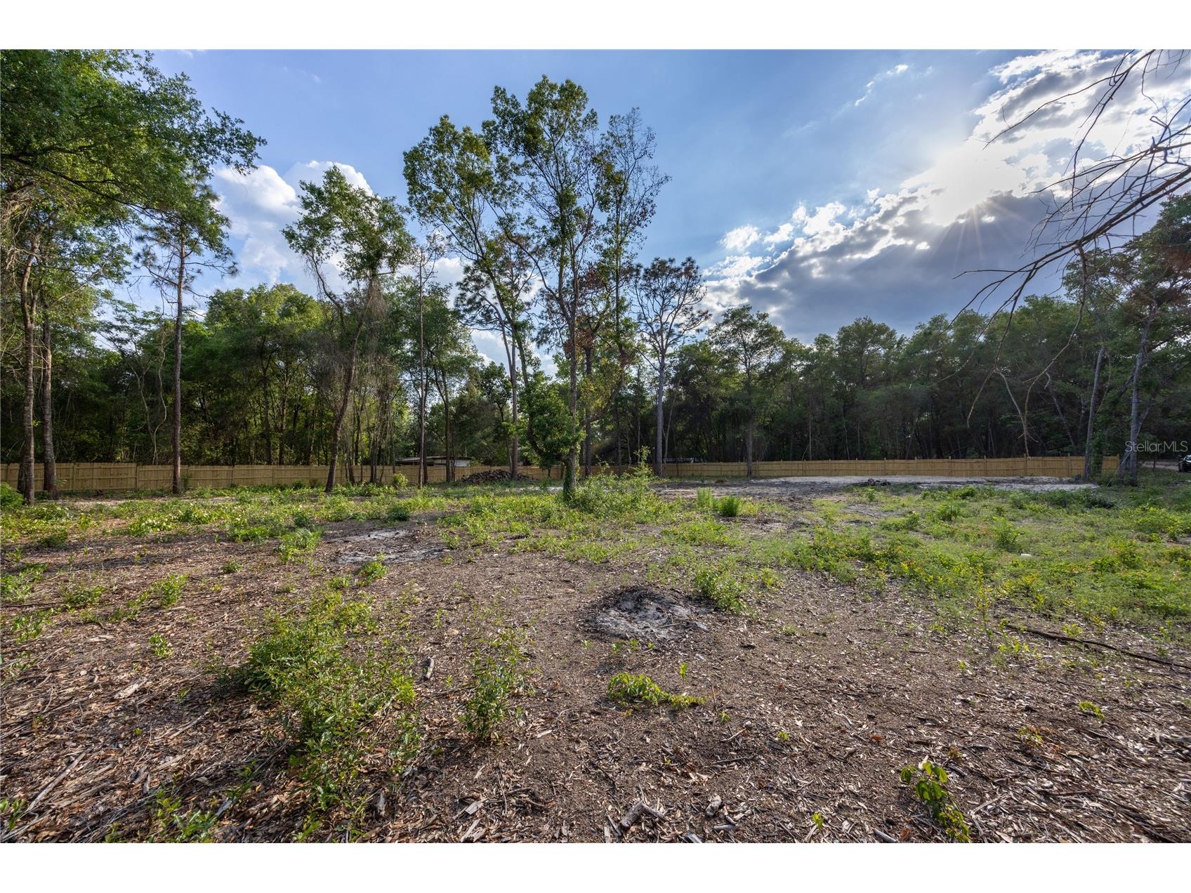 6397 Baylor Avenue Keystone Heights FL 32656 GC539258 image5