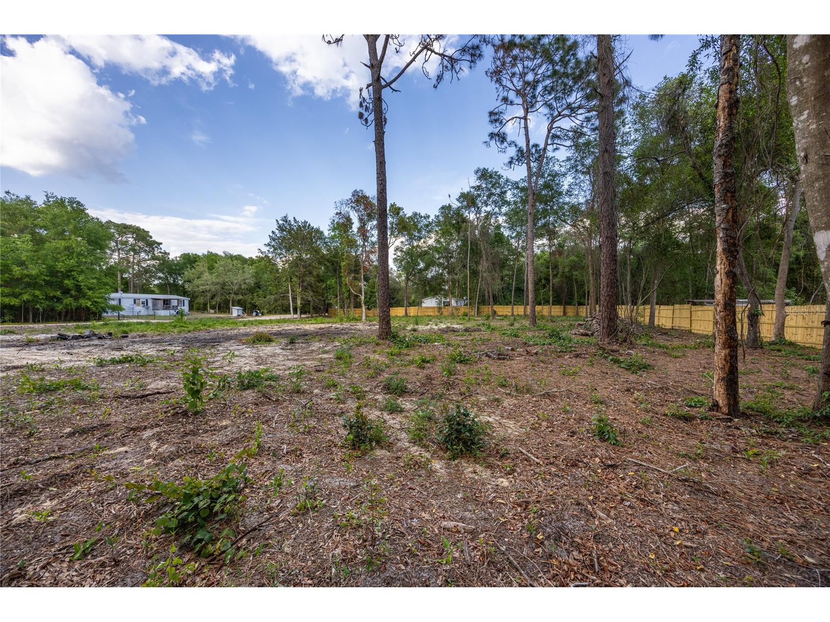 6397 Baylor Avenue Keystone Heights FL 32656 GC539258 image7