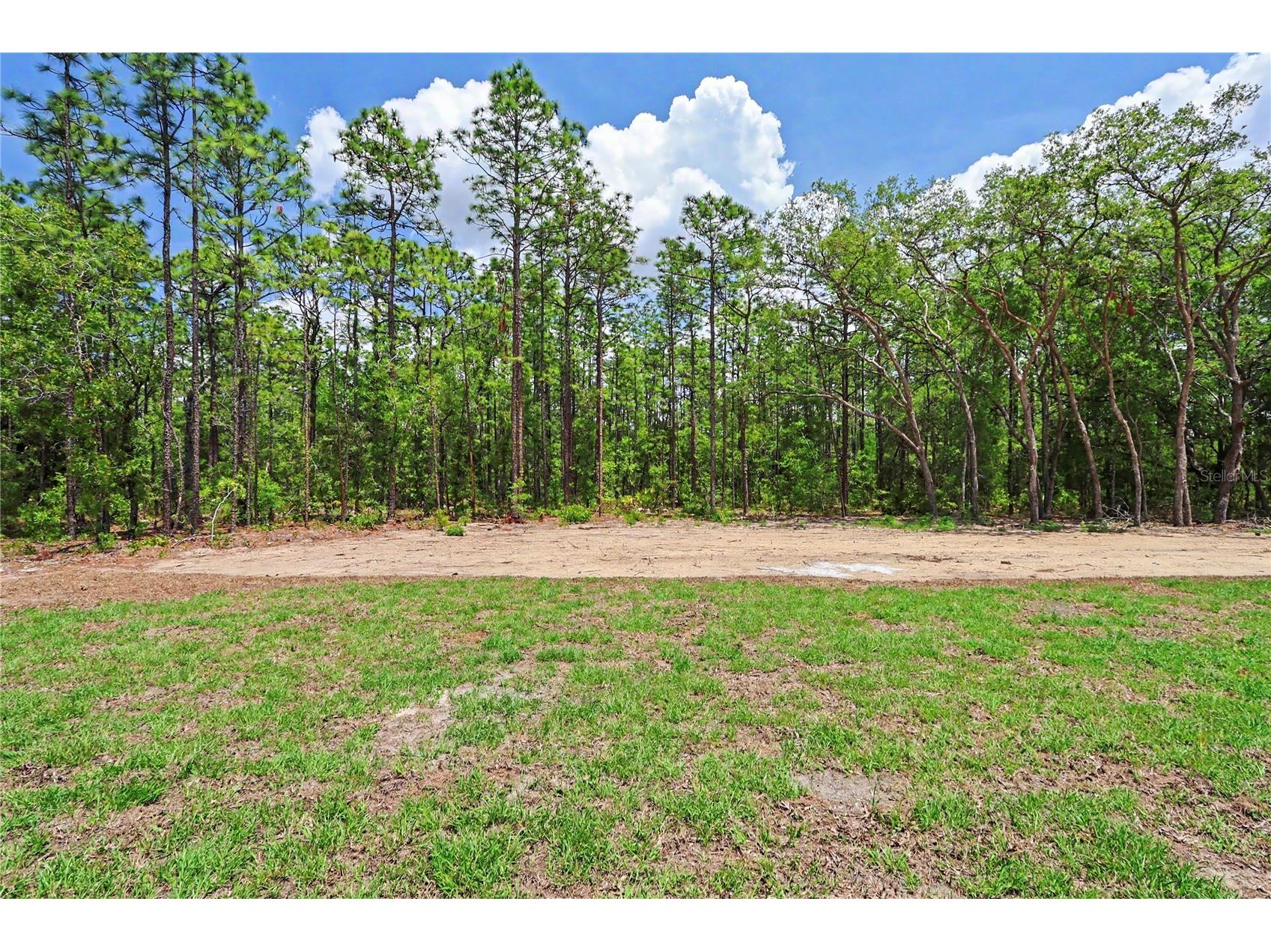 6397 SW 135th Terrace Road Ocala FL 34481 O6399614 image30