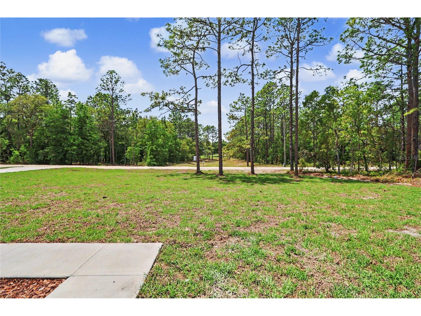 6397 SW 135th Terrace Road Ocala FL 34481 O6399614 image33