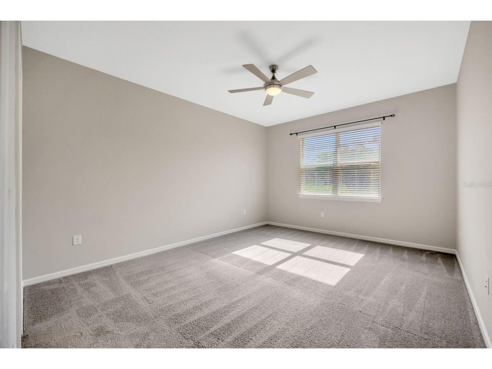 6398 Bradford Woods Drive Zephyrhills FL 33542 TB8505681 image15