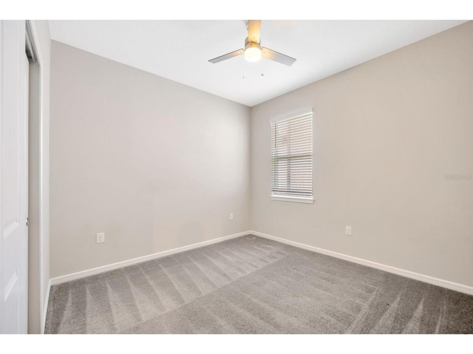 6398 Bradford Woods Drive Zephyrhills FL 33542 TB8505681 image31