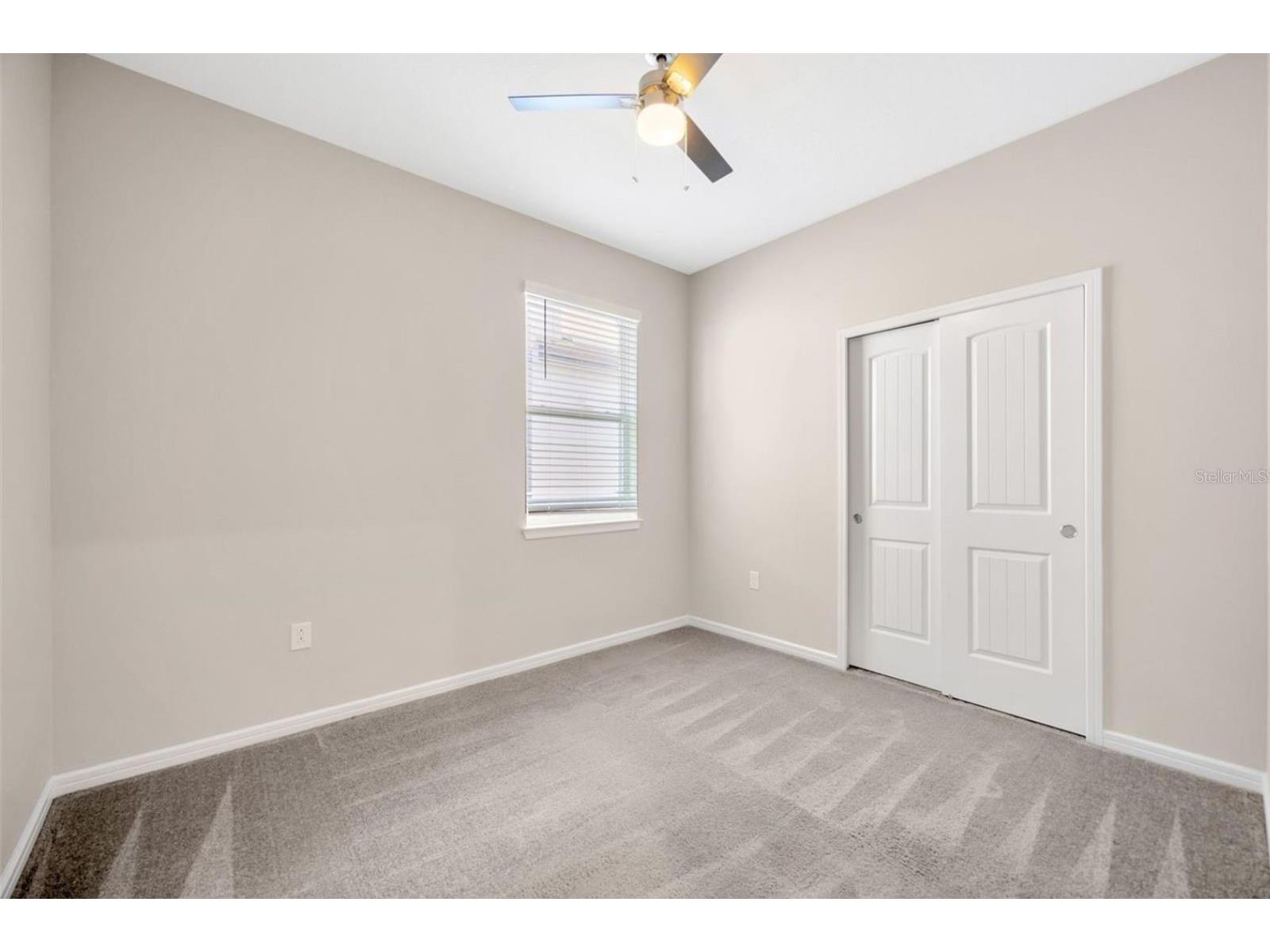 6398 Bradford Woods Drive Zephyrhills FL 33542 TB8505681 image36