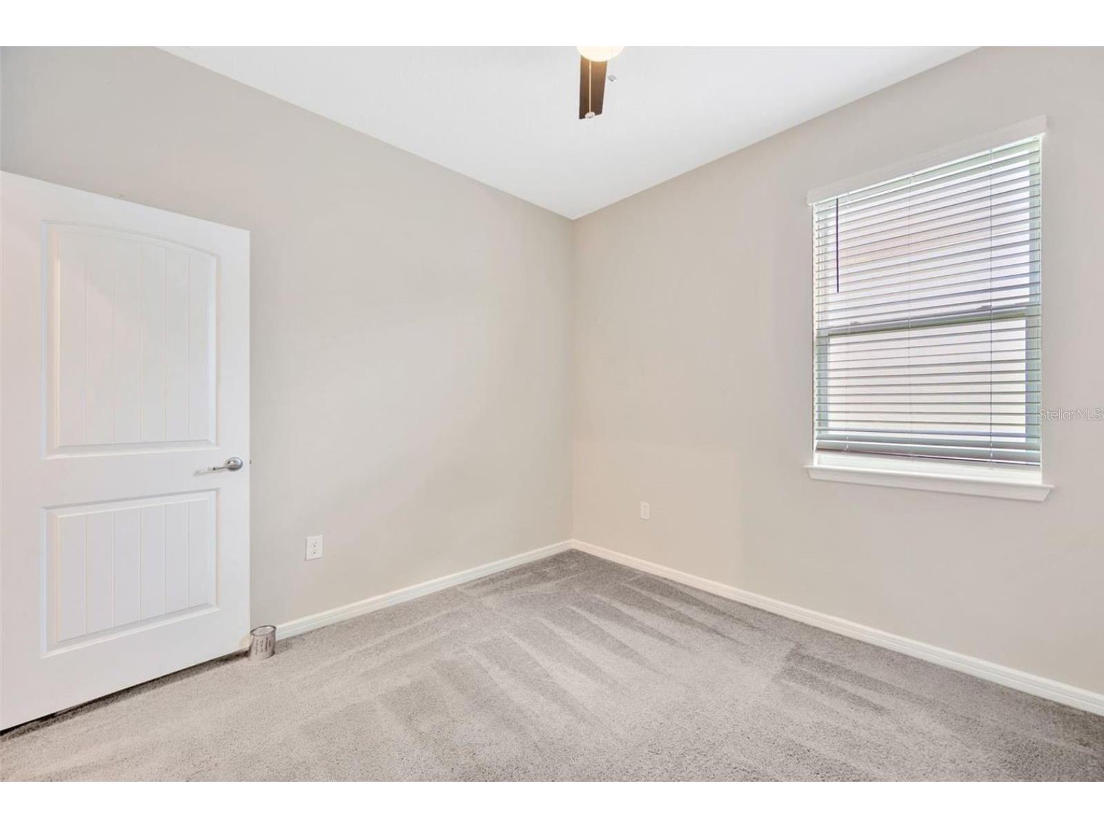 6398 Bradford Woods Drive Zephyrhills FL 33542 TB8505681 image38