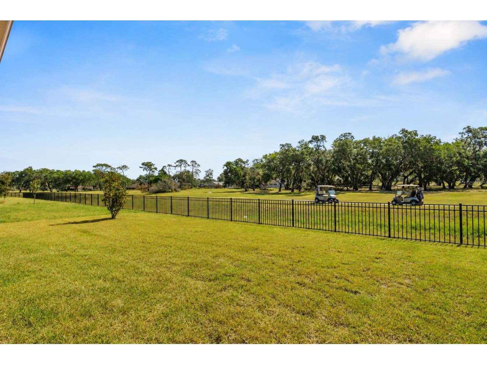 6398 Bradford Woods Drive Zephyrhills FL 33542 TB8505681 image43