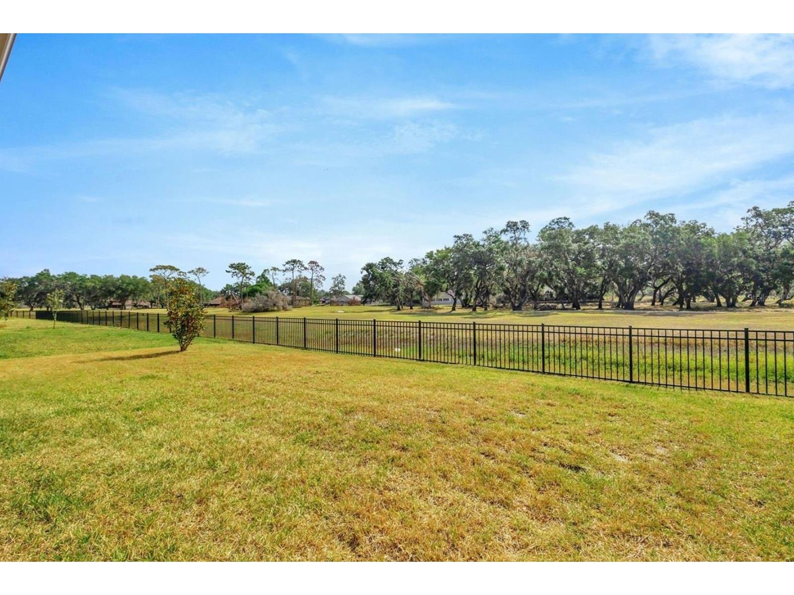 6398 Bradford Woods Drive Zephyrhills FL 33542 TB8505681 image44