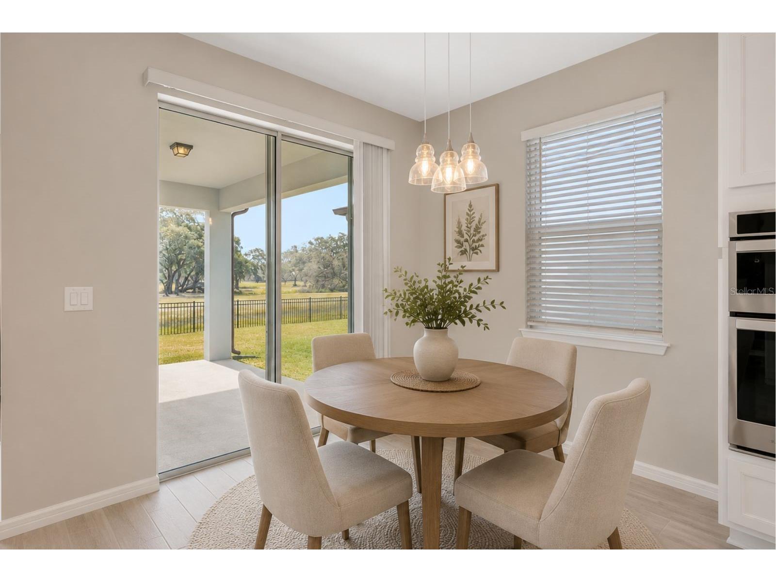 6398 Bradford Woods Drive Zephyrhills FL 33542 TB8505681 image9