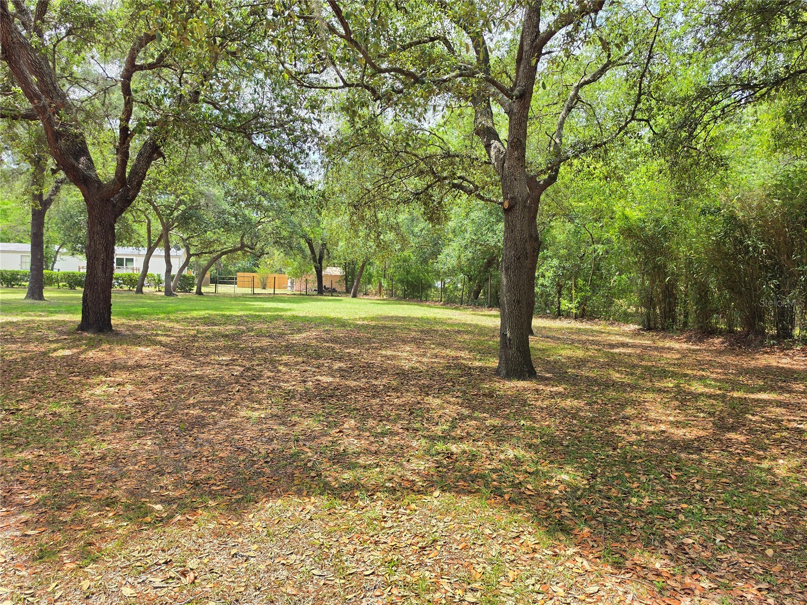 6398 S Tropicana Avenue Lecanto FL 34461 TB8507563 image37