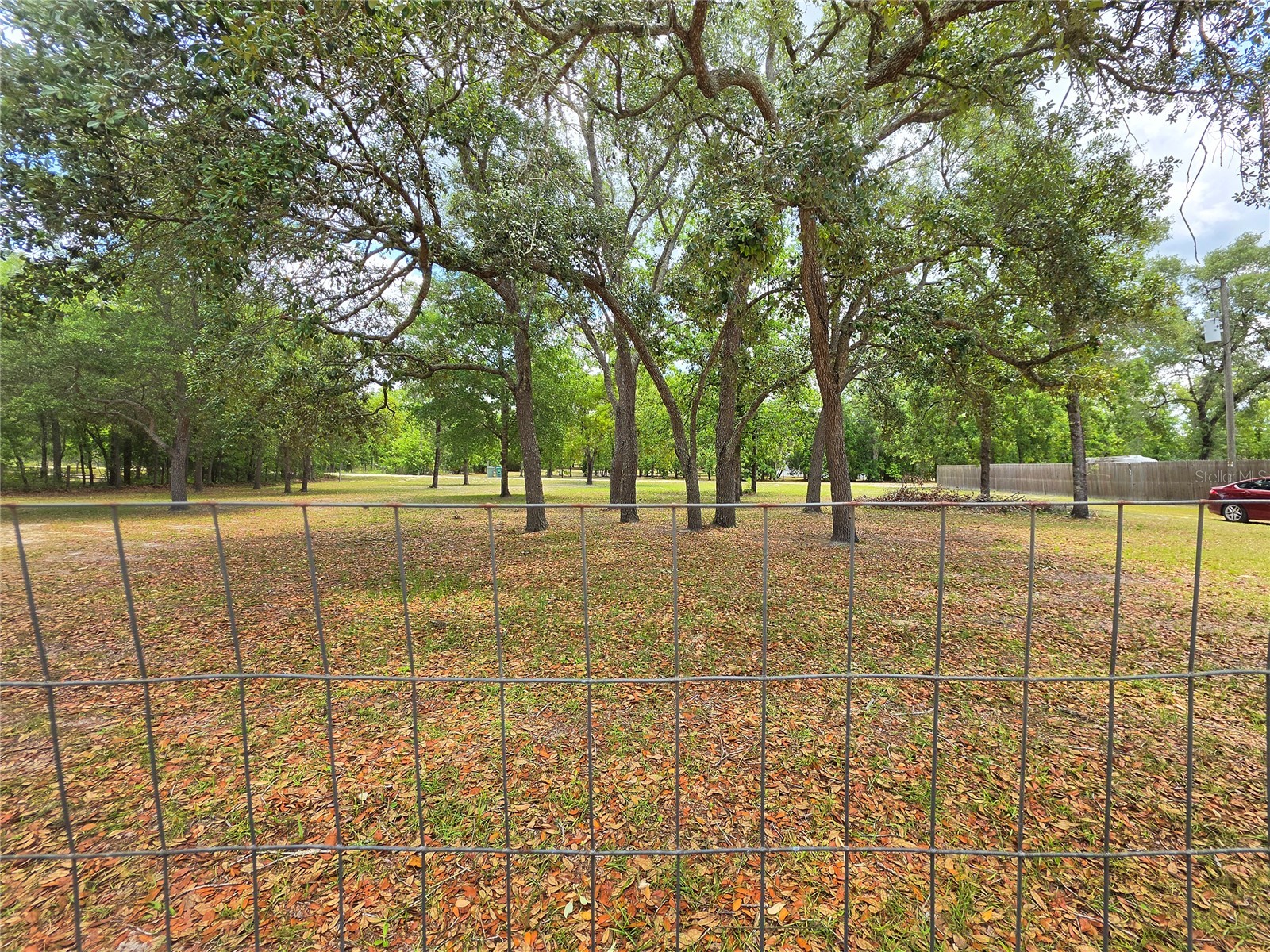 6398 S Tropicana Avenue Lecanto FL 34461 TB8507563 image43